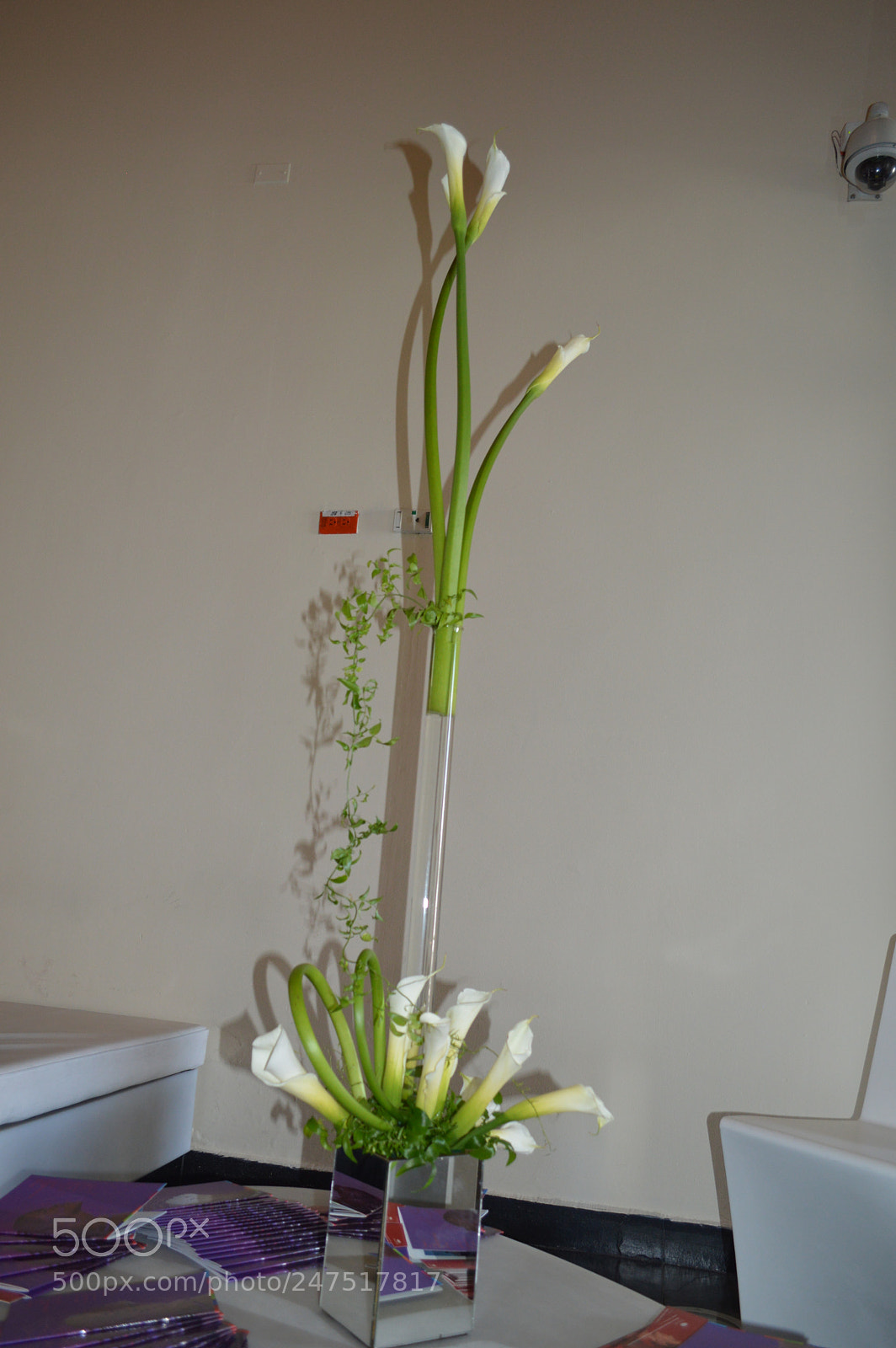 Nikon D3200 sample photo. Dsc photography