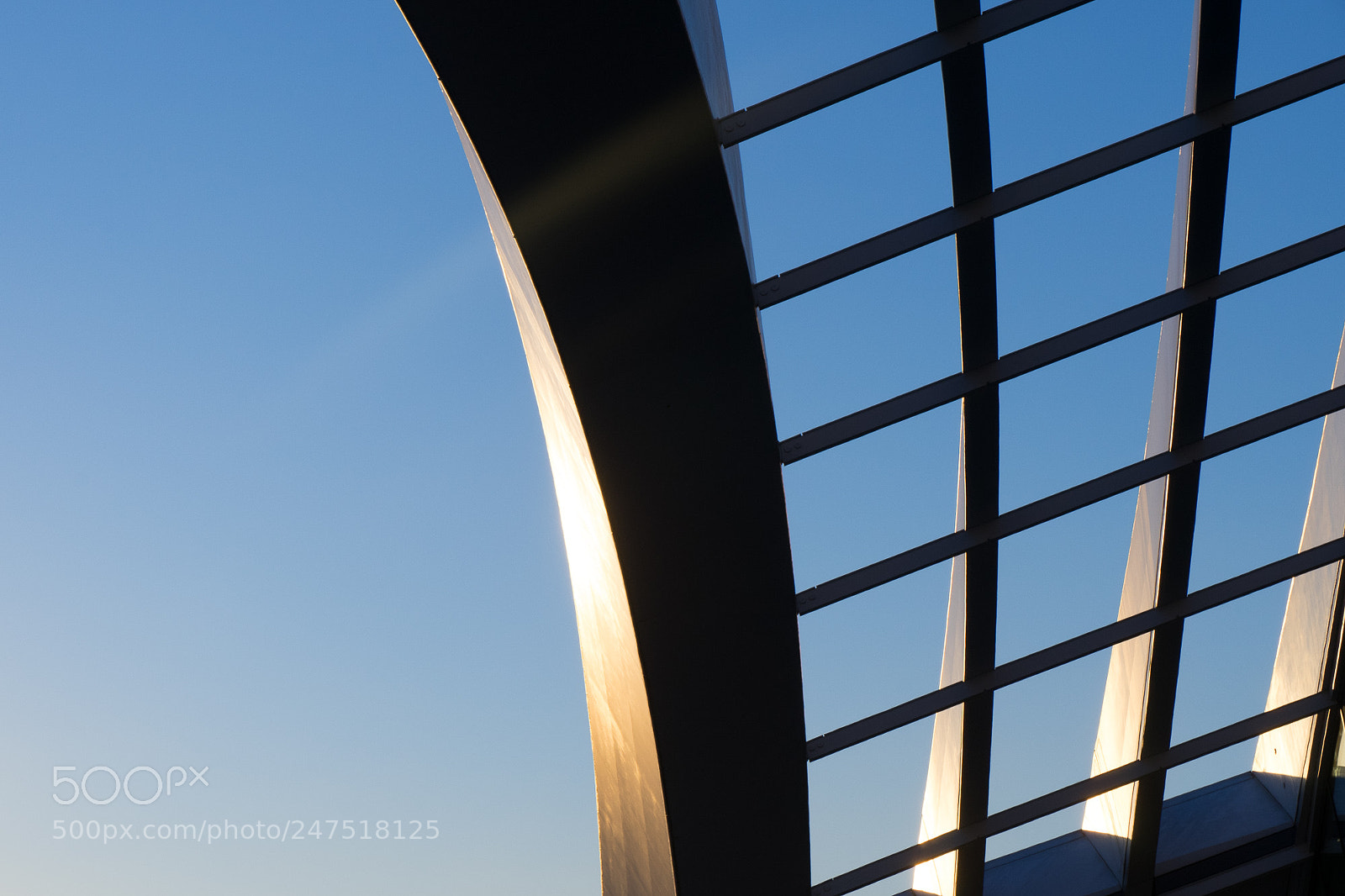 Sony a7 sample photo. Steel curves photography