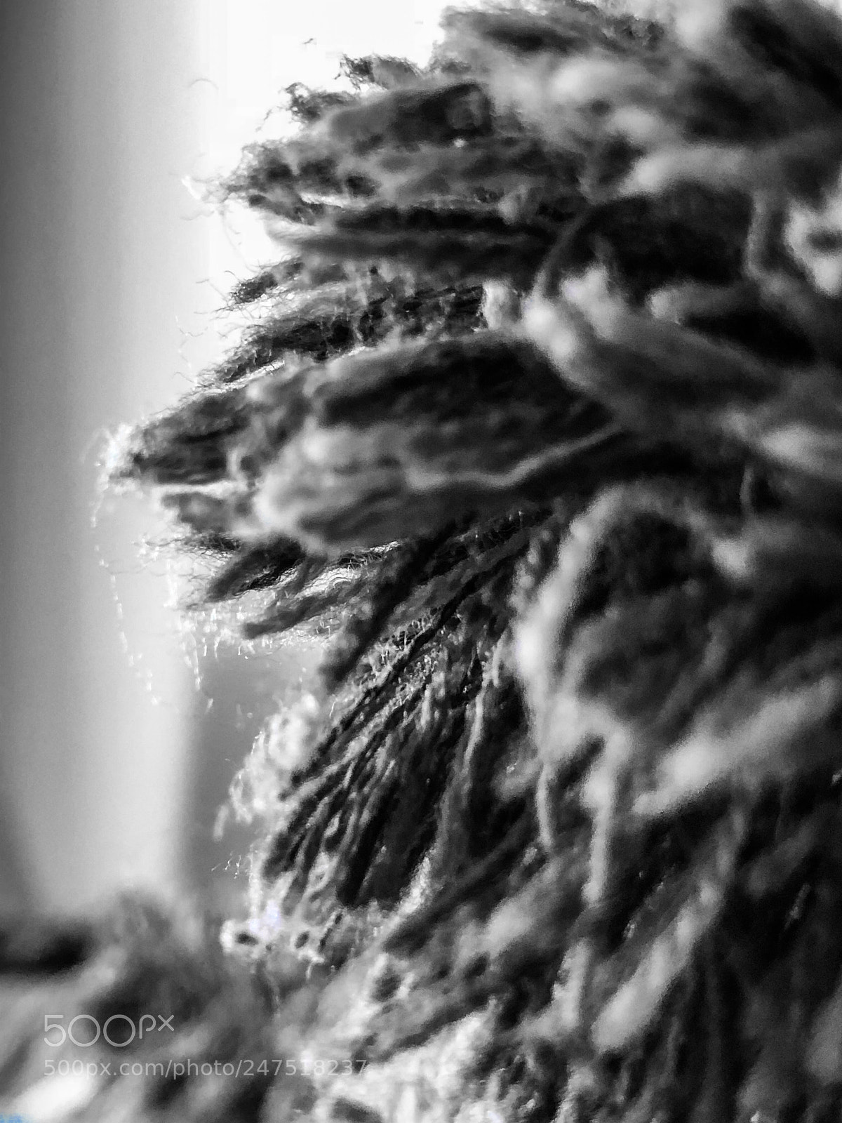 Apple iPhone X sample photo. Untitled photography