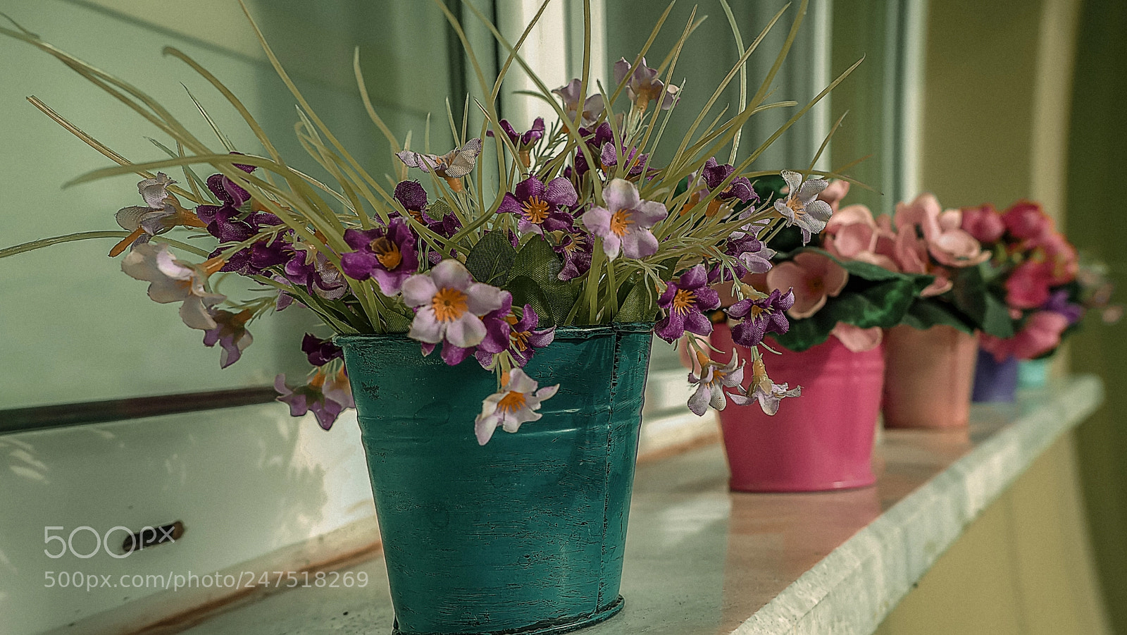 Olympus OM-D E-M1 Mark II sample photo. Olympus digital camera photography