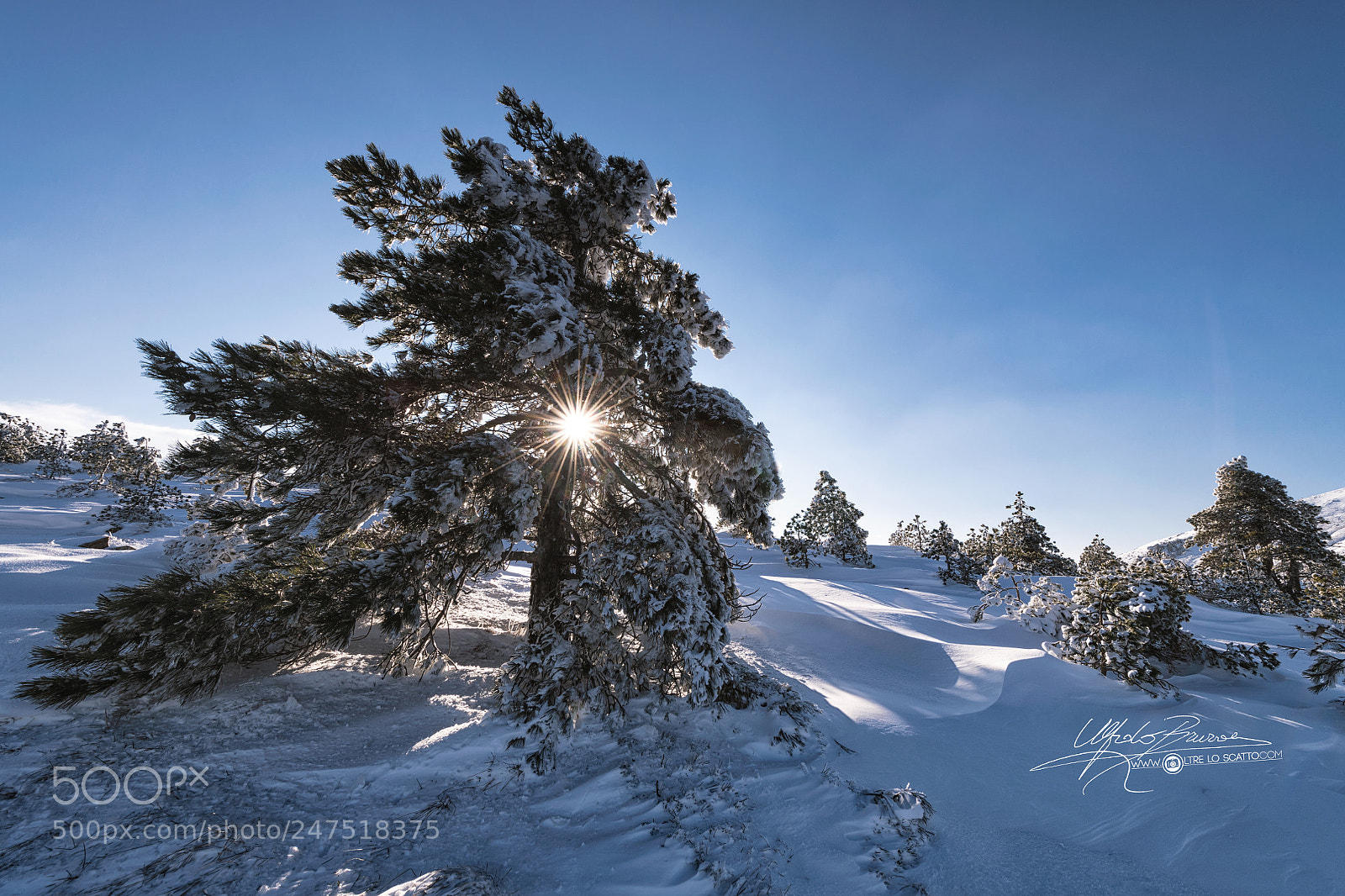Nikon D850 sample photo. Lapland 6 miles from photography