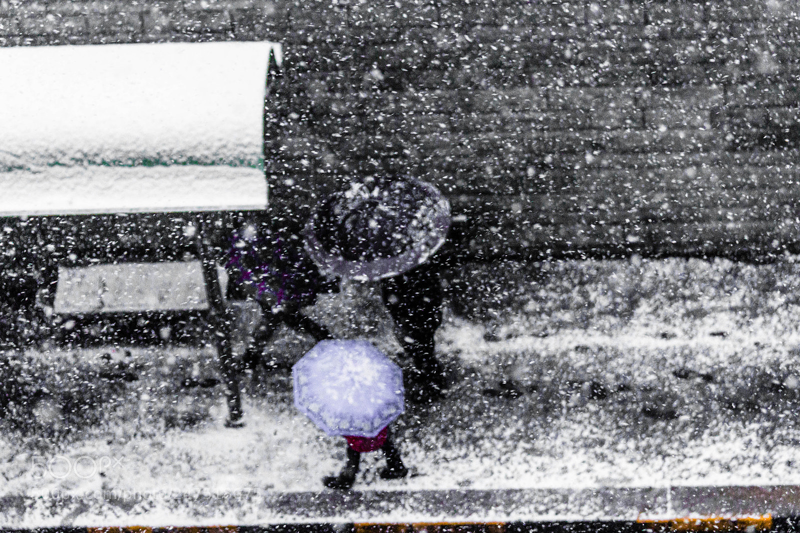 Canon EOS 650D (EOS Rebel T4i / EOS Kiss X6i) sample photo. Family in the snow photography