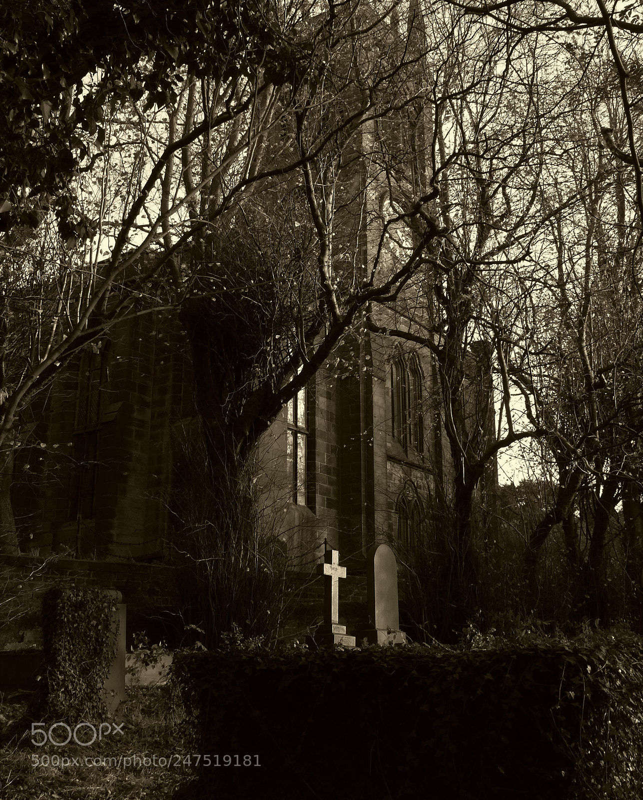 Panasonic Lumix DMC-FZ200 sample photo. St chads photography