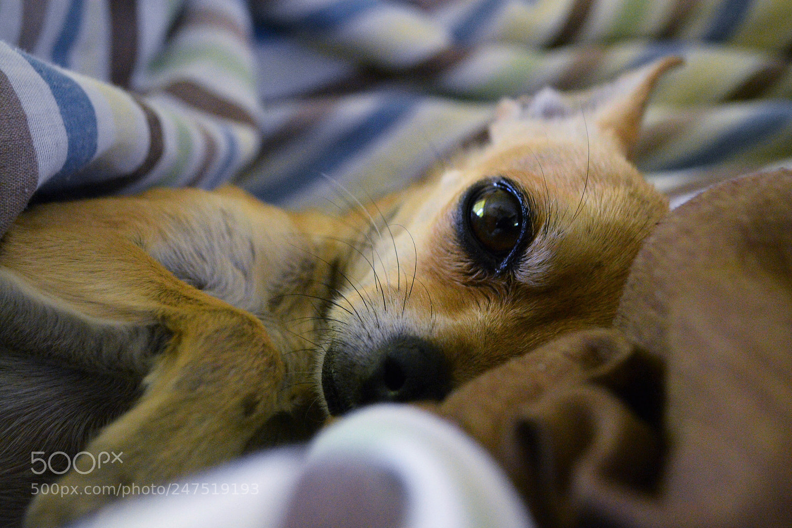 Nikon D3100 sample photo. Rocky <3 photography