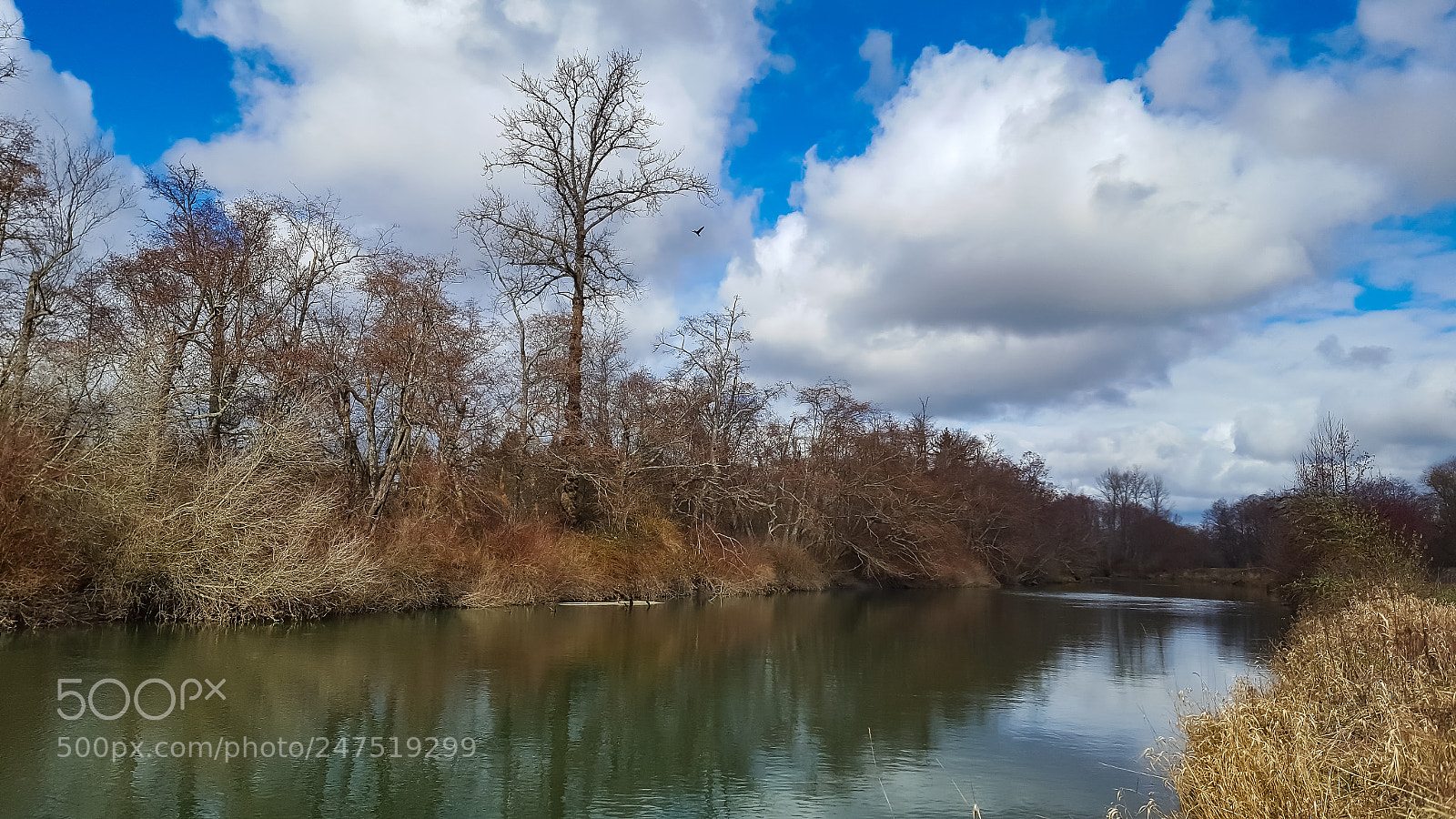 Samsung GALAXY S6 edge sample photo. Skagit river photography