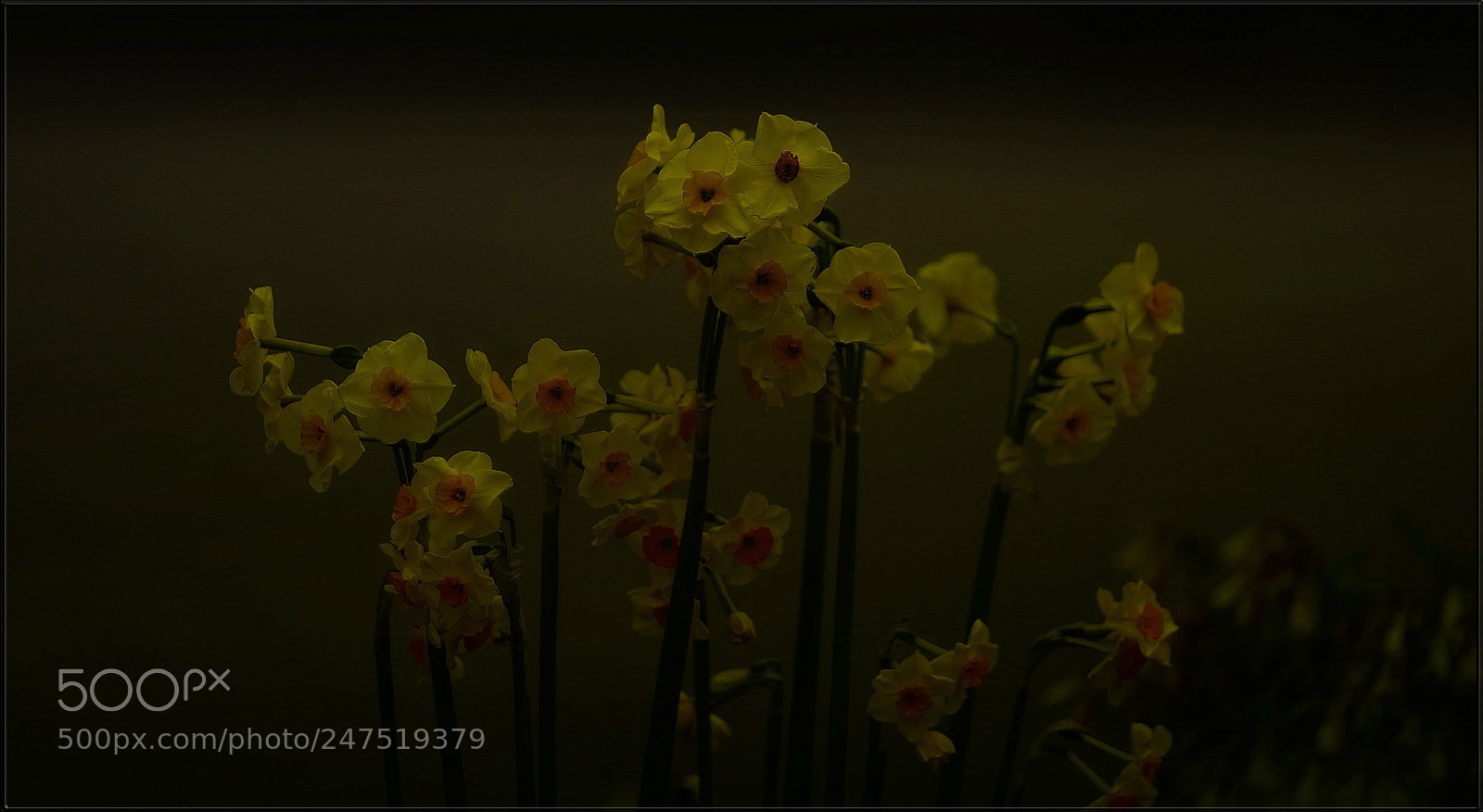 Sony a7R II sample photo. Gelb in der nacht ... photography