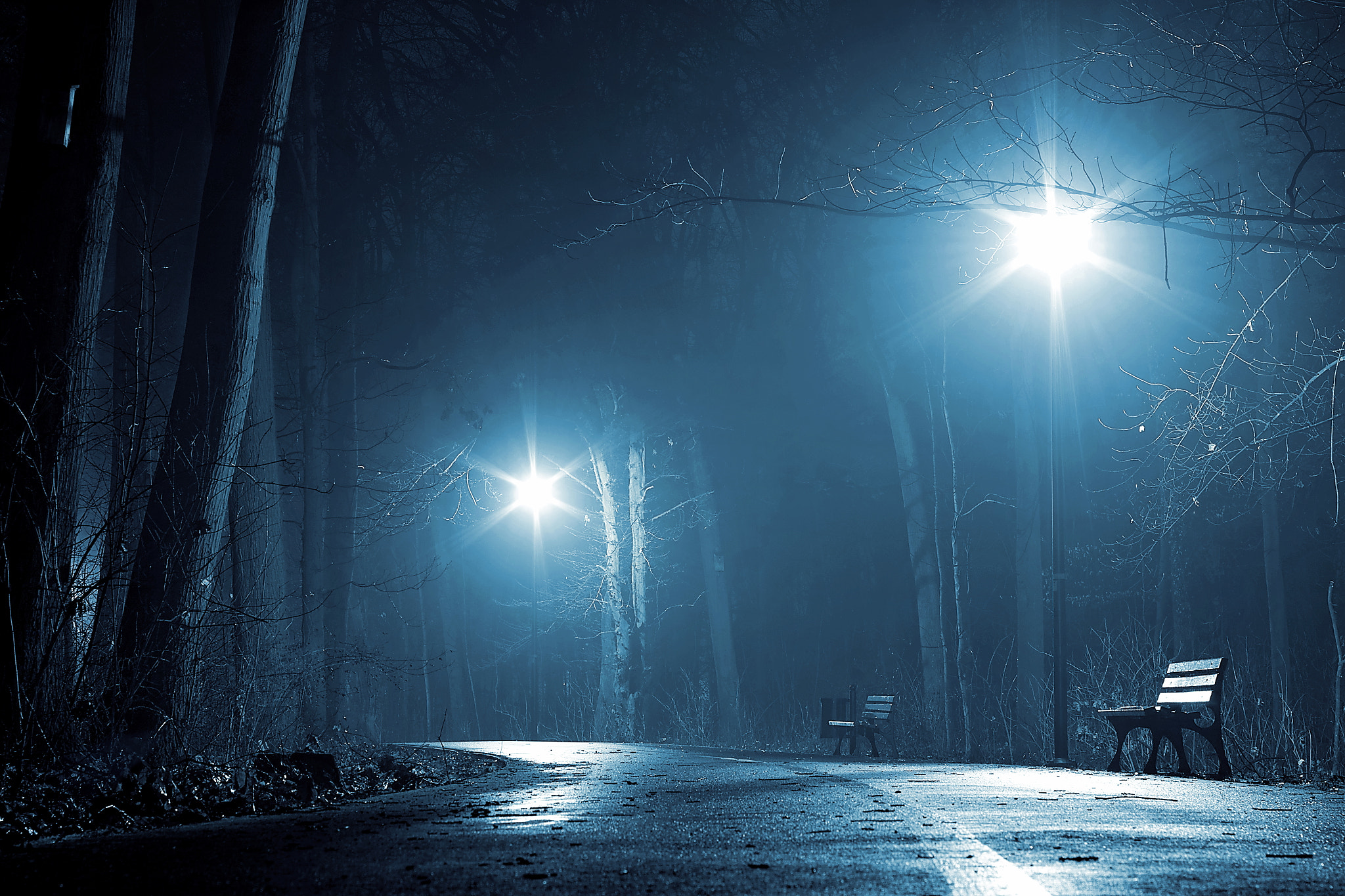 A Series Lens sample photo. Night in a misty park photography
