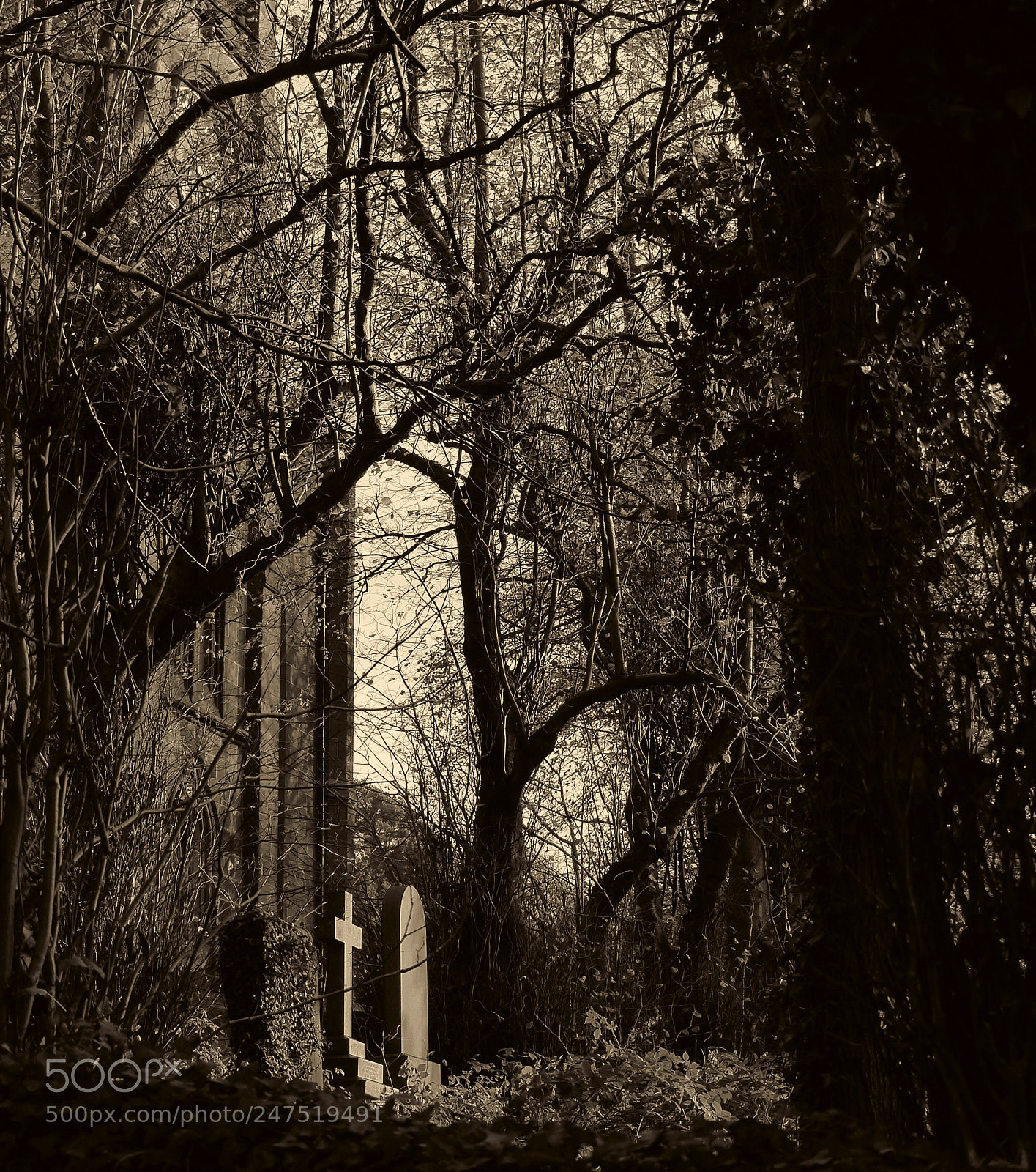 Panasonic Lumix DMC-FZ200 sample photo. Saint chads photography