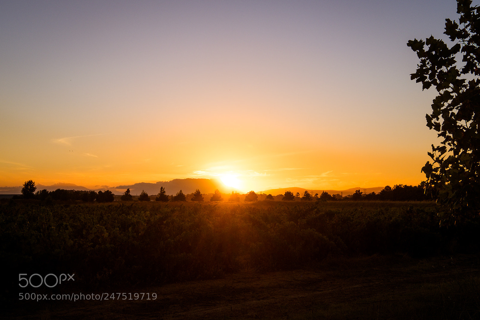 Fujifilm X-T1 sample photo. Franschhoek photography