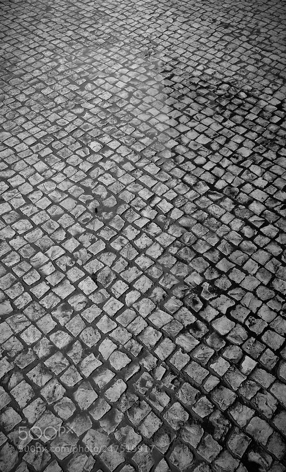 Fujifilm X-Pro1 sample photo. Untitled photography
