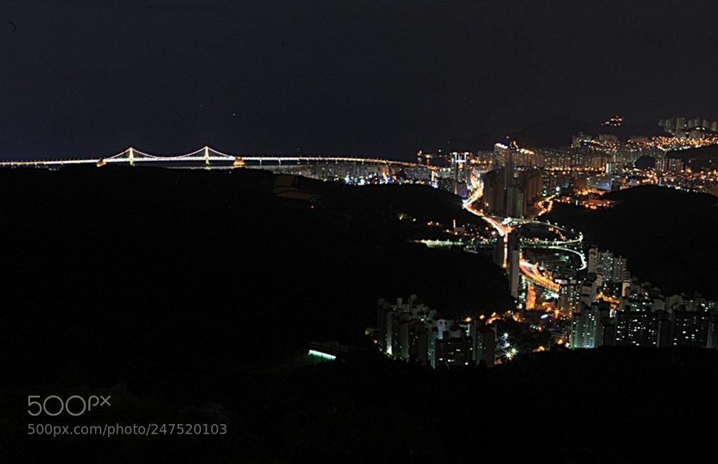 Canon EF 24-70mm F2.8L USM sample photo. Night view of busan 부산 photography