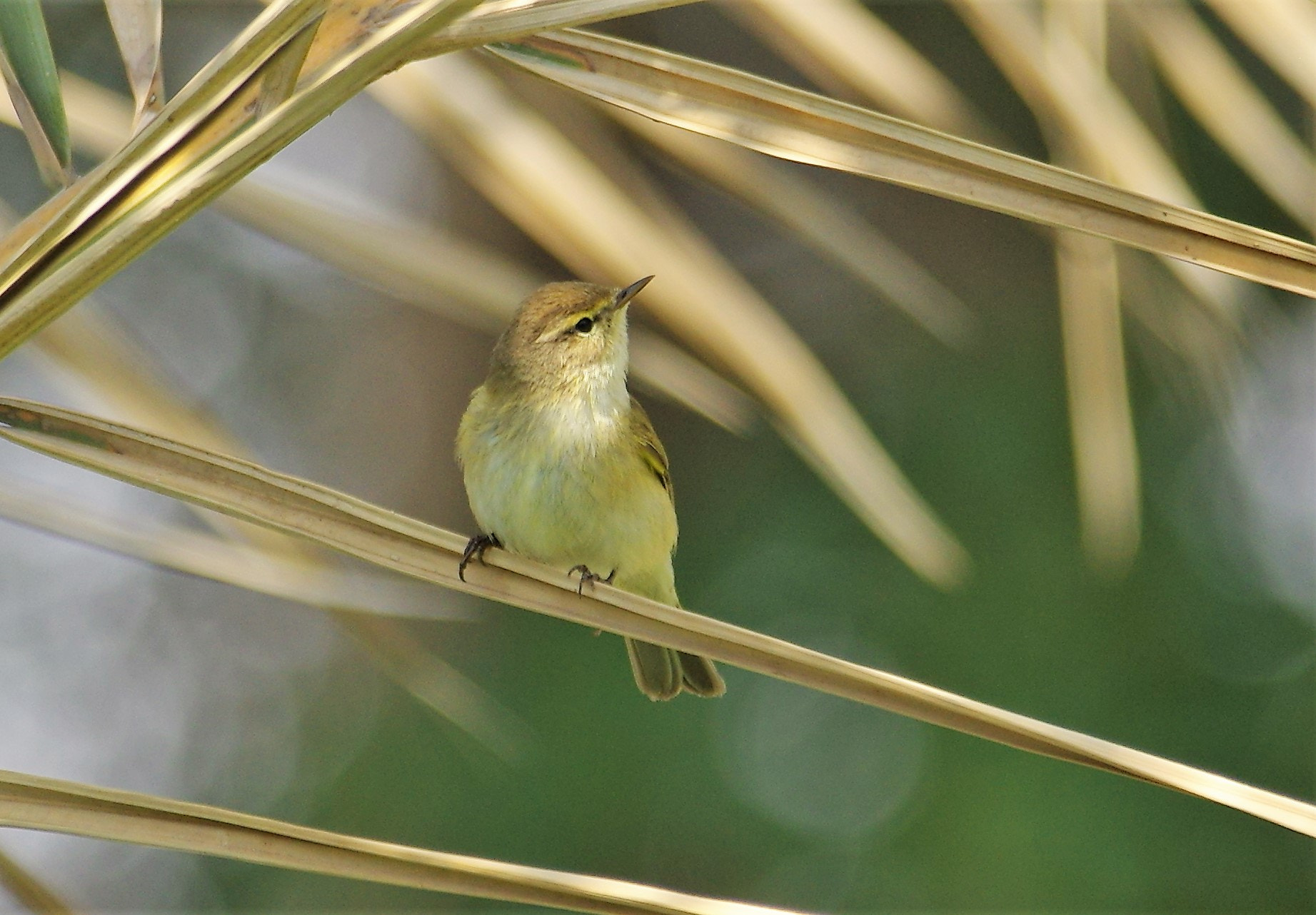 Pentax K-3 sample photo