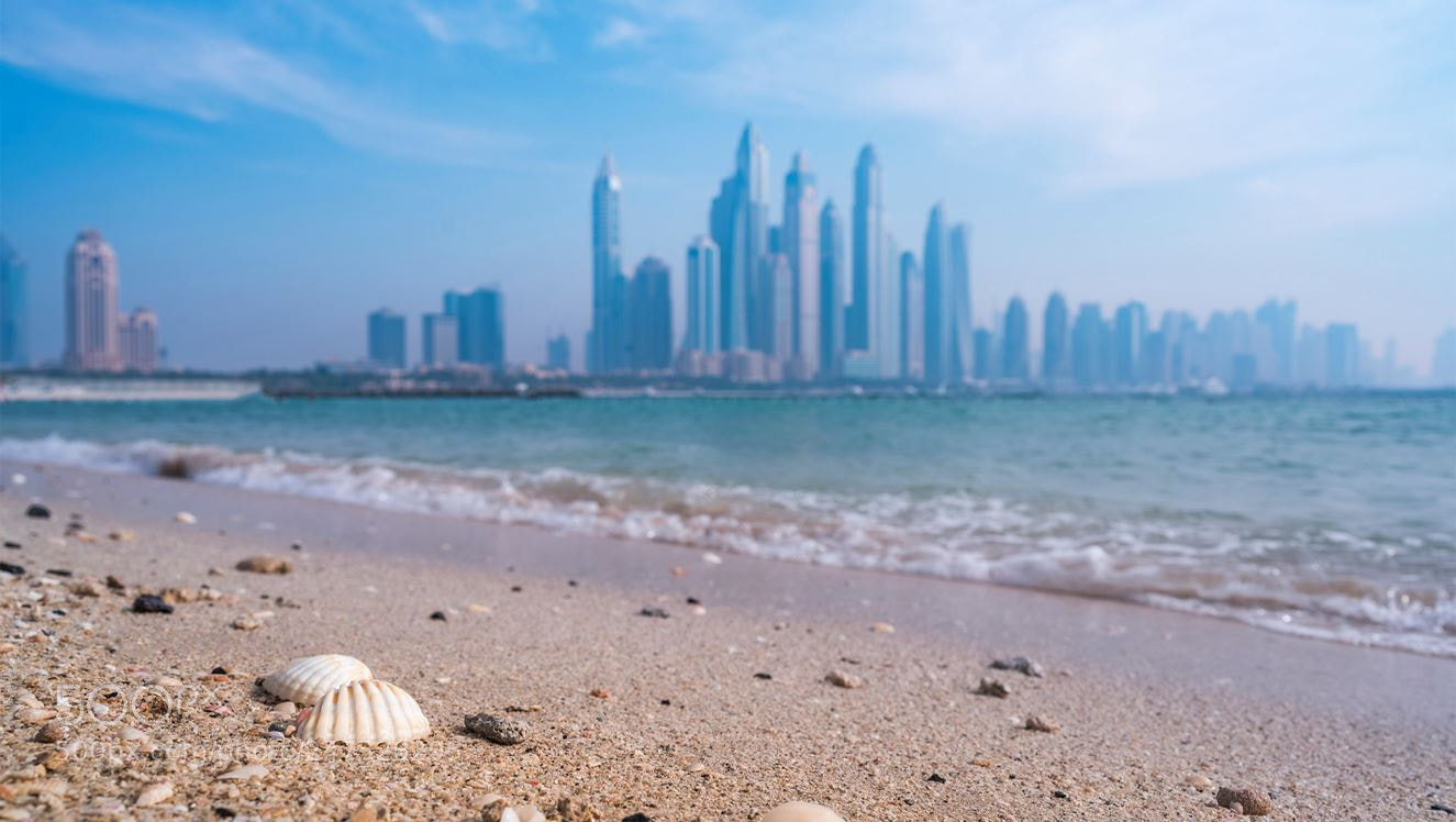 Sony a7R II sample photo. Palm dubai photography