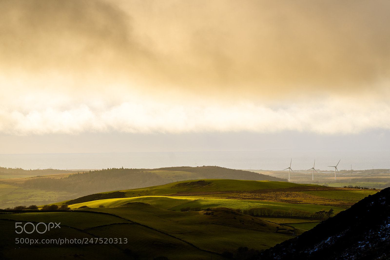 Nikon D610 sample photo. The view north west photography