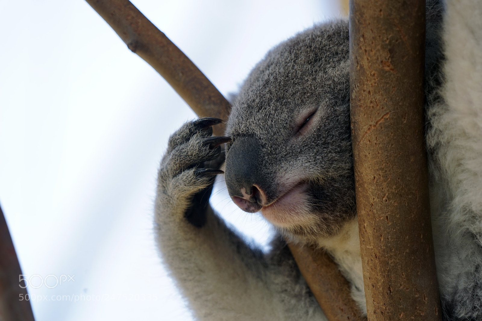 Sony a7 sample photo. Hangover photography