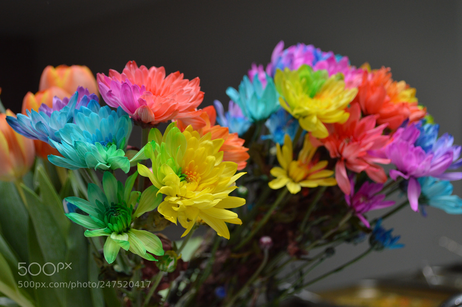 Nikon D3200 sample photo. Colourful flowers photography