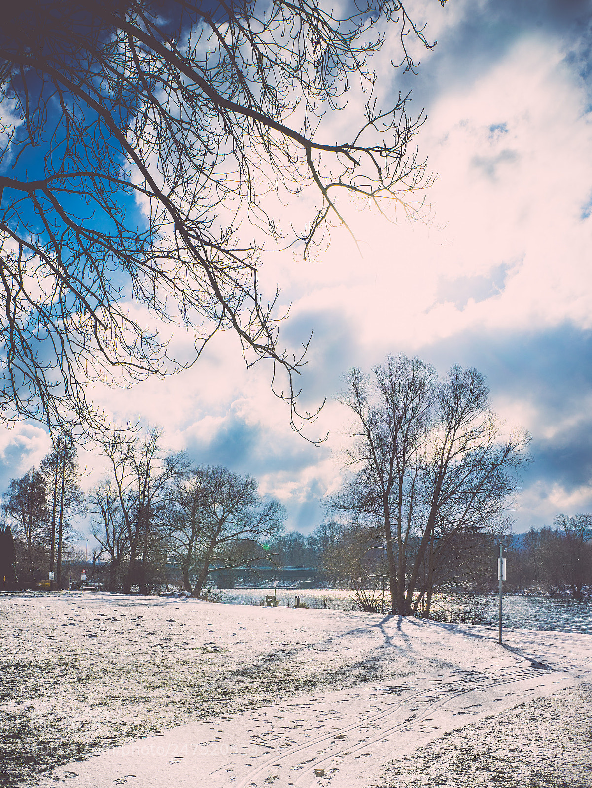 Sony a7 sample photo. Untitled photography