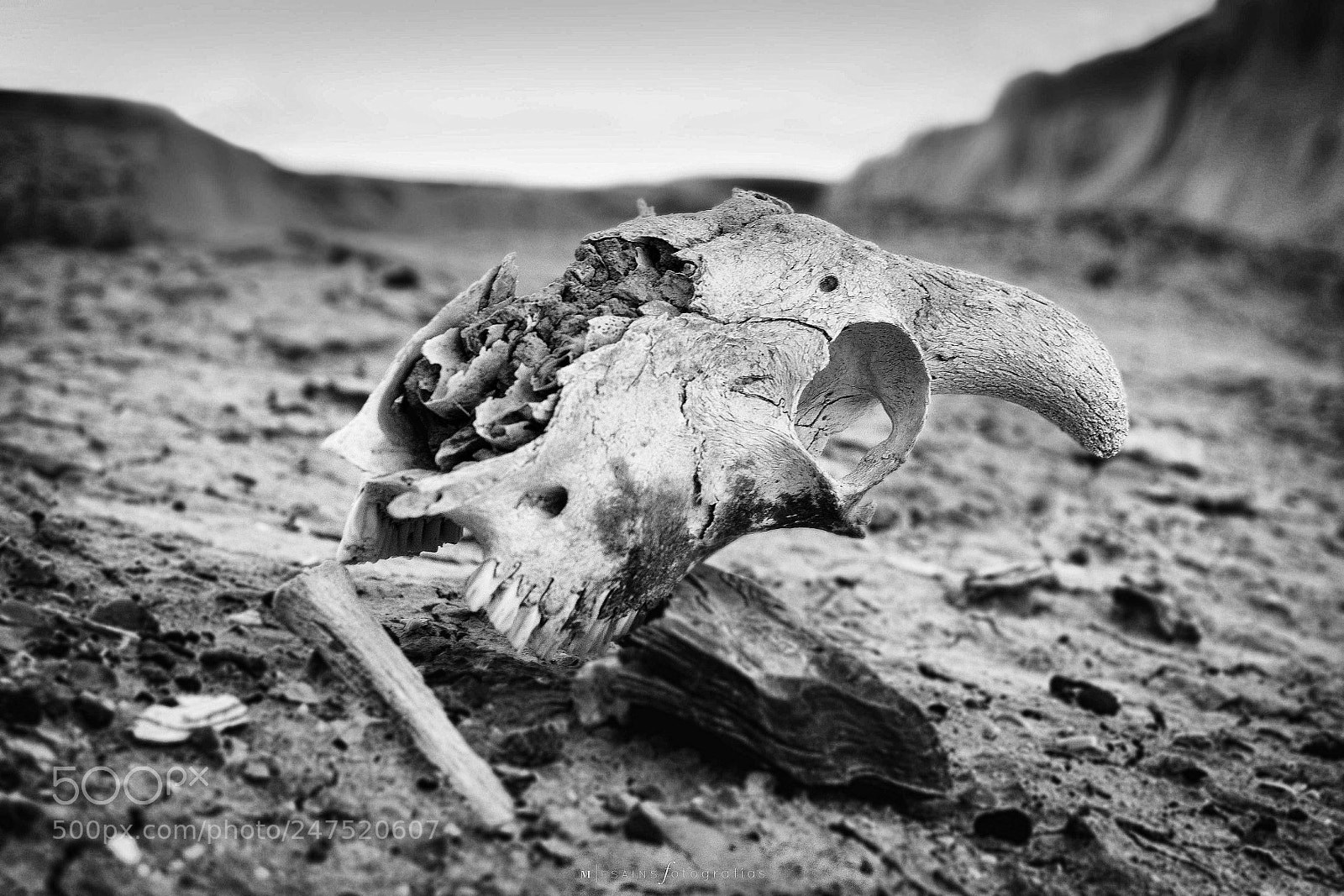 Nikon D7200 sample photo. Desierto photography