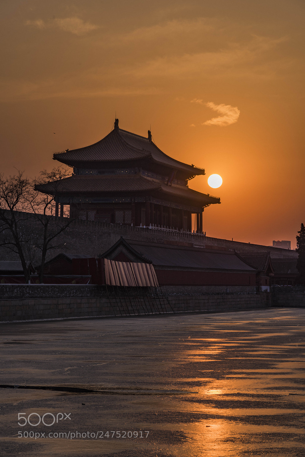 Nikon D810 sample photo. Untitled photography