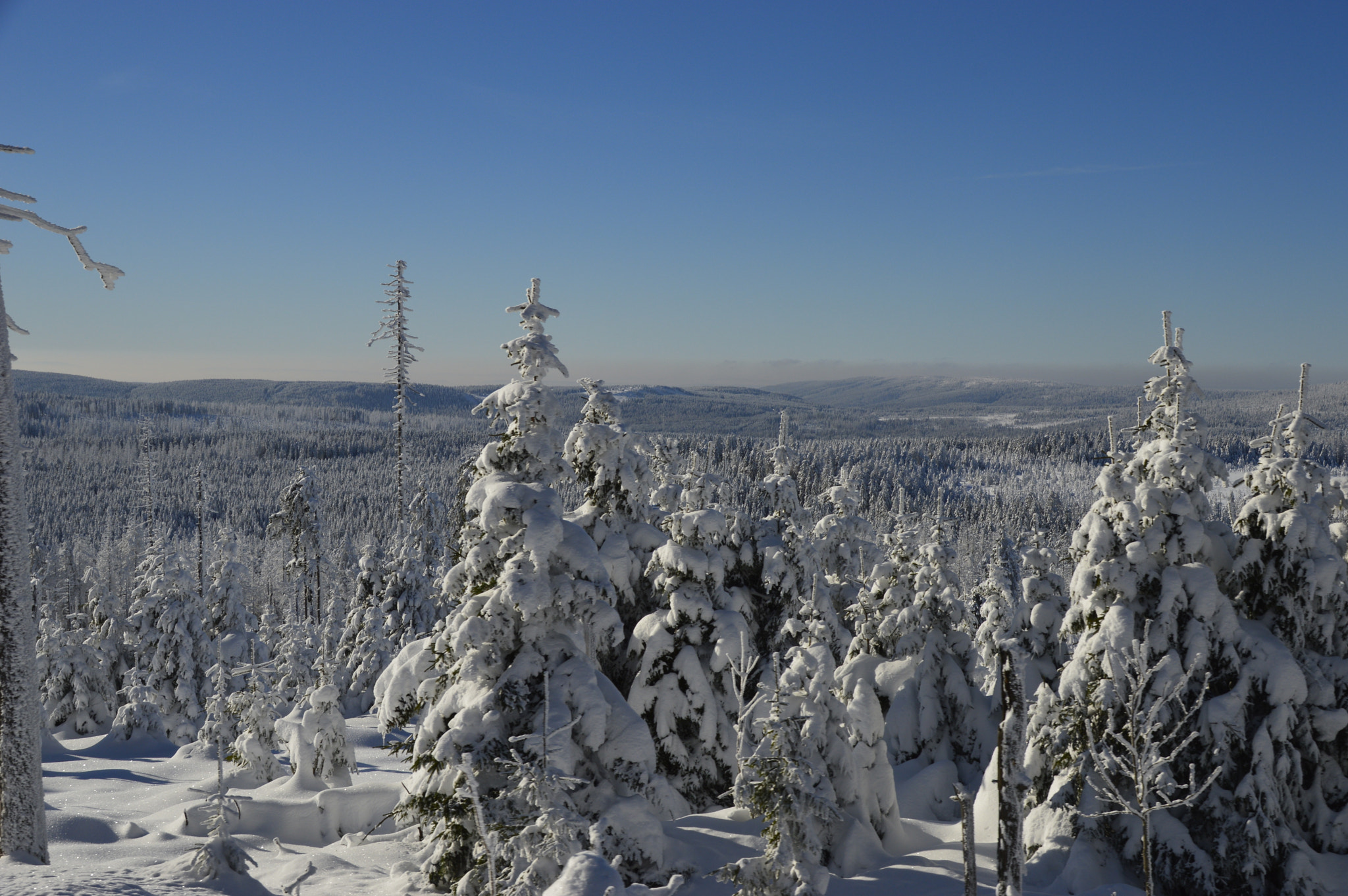 Sigma 18-250mm F3.5-6.3 DC Macro OS HSM sample photo. Brocken 2016 photography