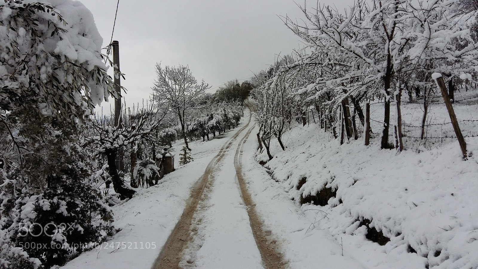 Samsung Galaxy A5 sample photo. Neve photography