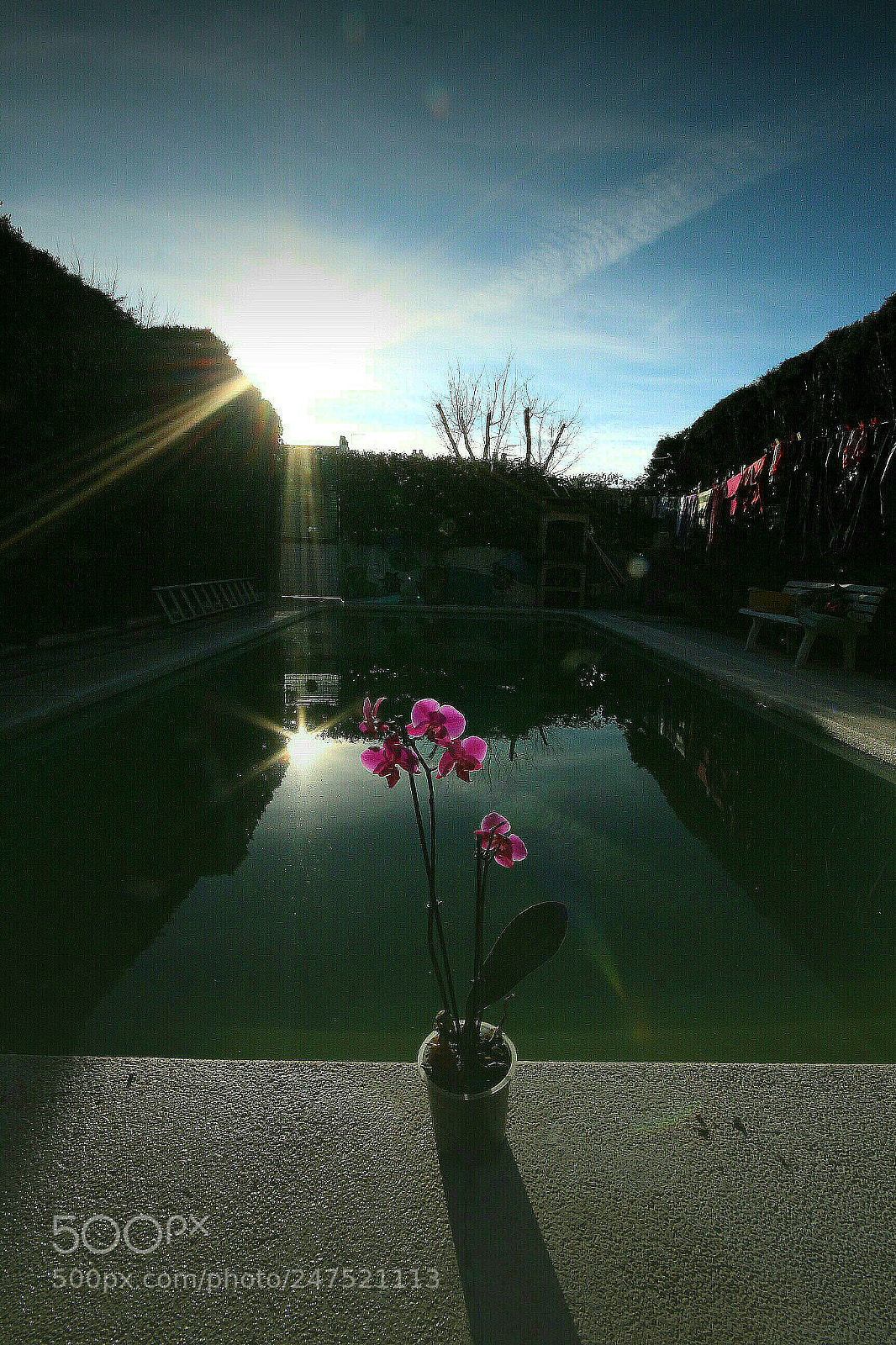 Canon EOS 700D (EOS Rebel T5i / EOS Kiss X7i) sample photo. Doble contraluz. photography