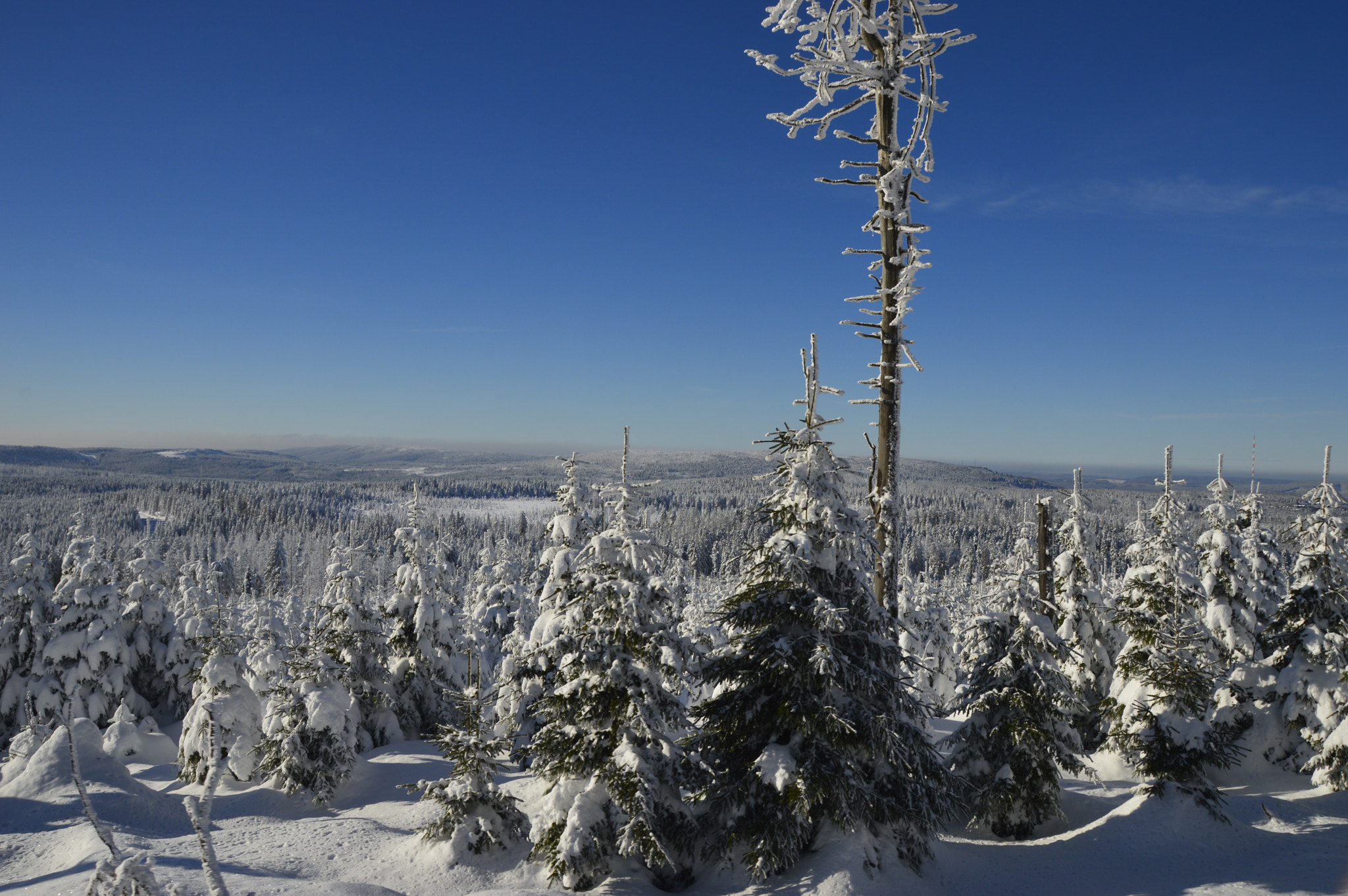 Nikon D3200 + Sigma 18-250mm F3.5-6.3 DC Macro OS HSM sample photo. Brocken 2016 photography