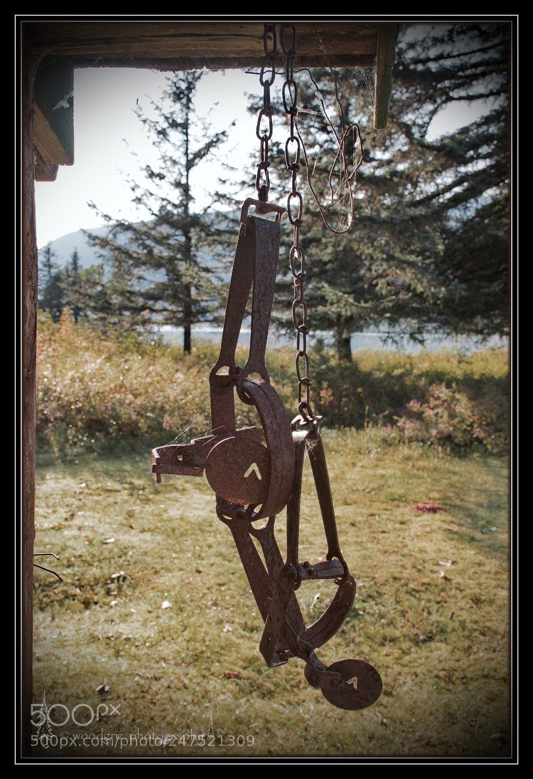 Nikon D7200 sample photo. Knock on this photography