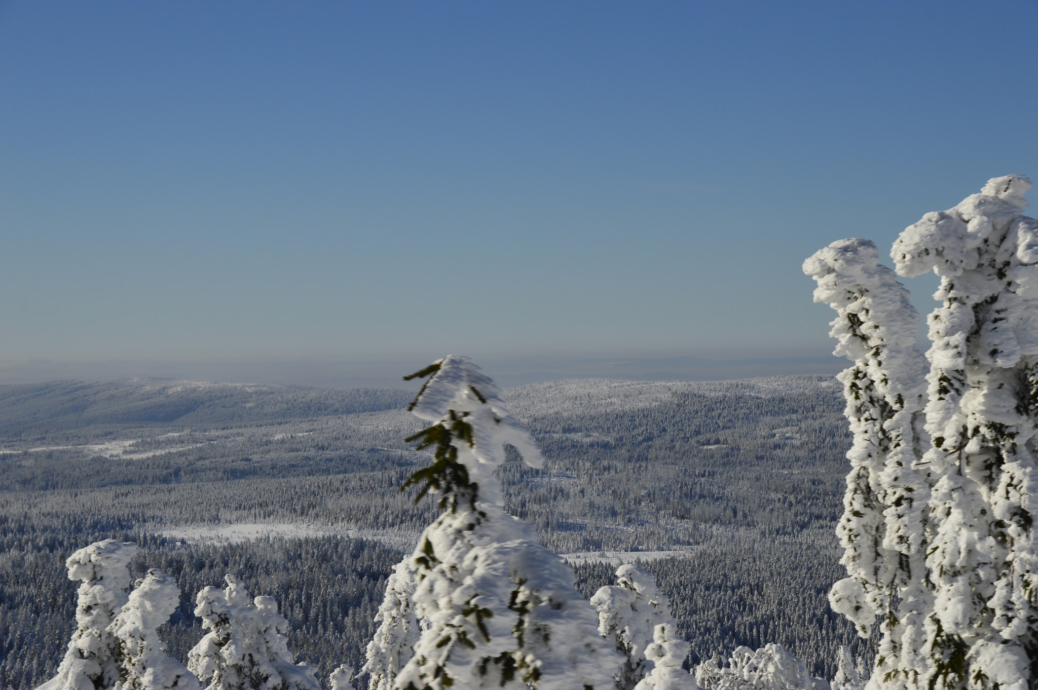 Sigma 18-250mm F3.5-6.3 DC Macro OS HSM sample photo. Brocken 2016 photography