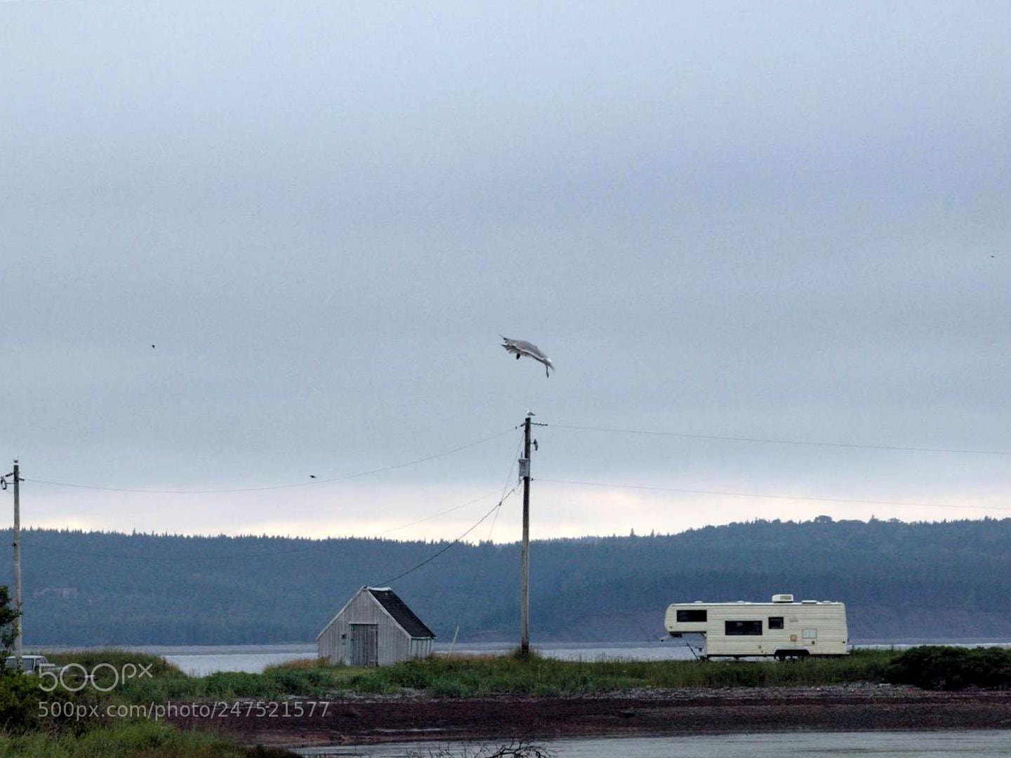 Olympus E-620 (EVOLT E-620) sample photo. This is nova scotia photography
