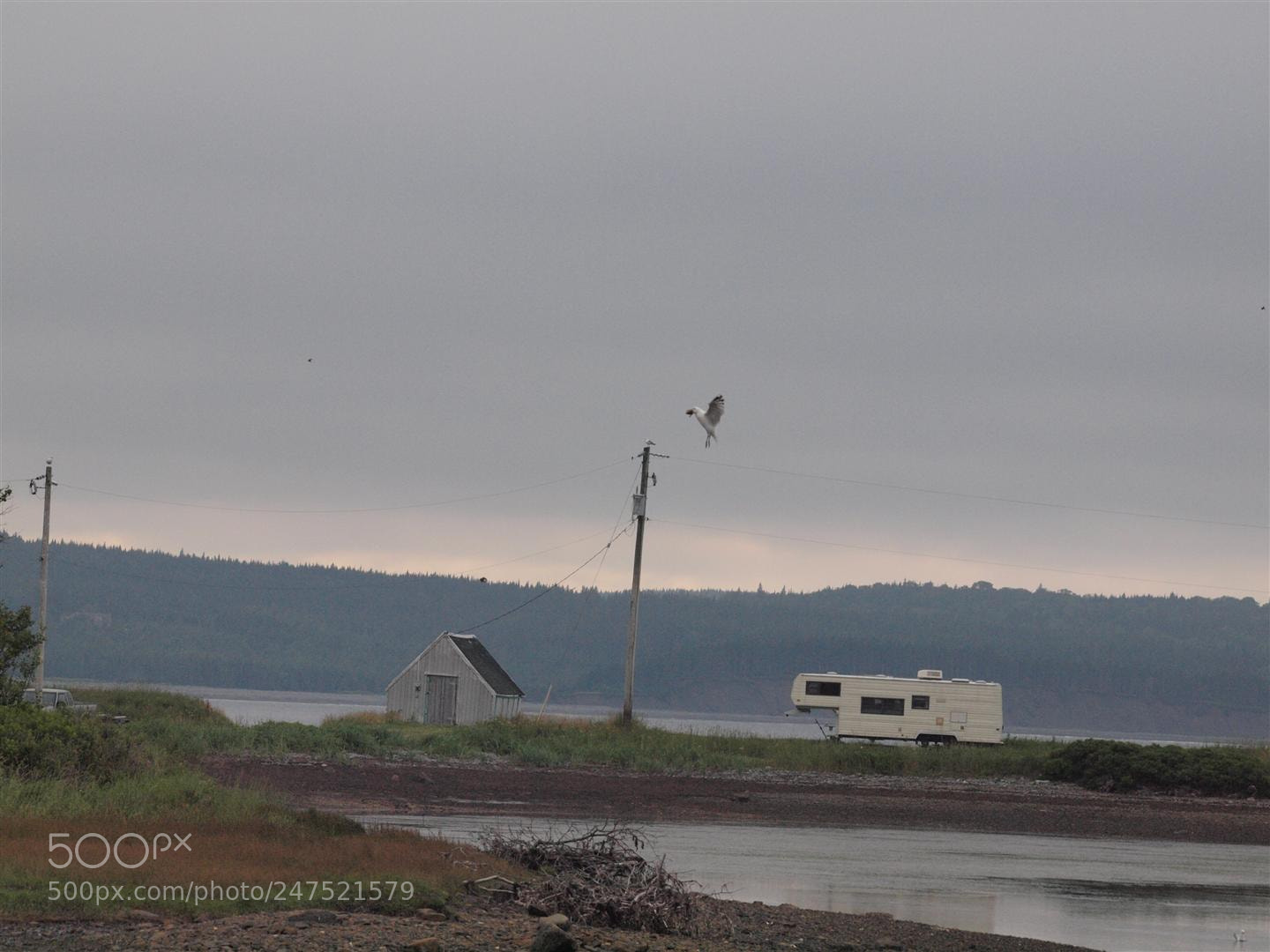 Olympus E-620 (EVOLT E-620) sample photo. This is nova scotia photography