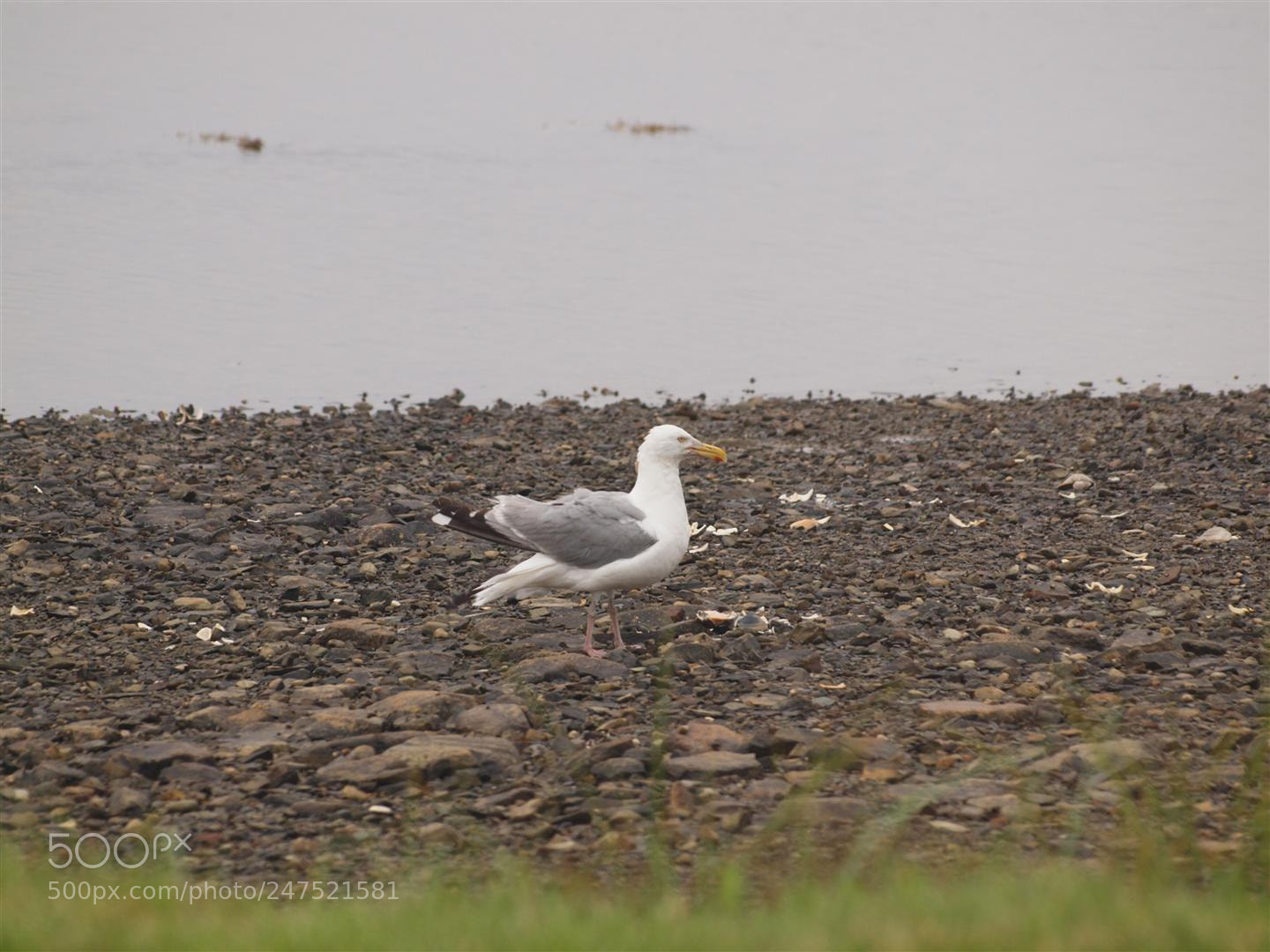 Olympus E-620 (EVOLT E-620) sample photo. This is nova scotia photography