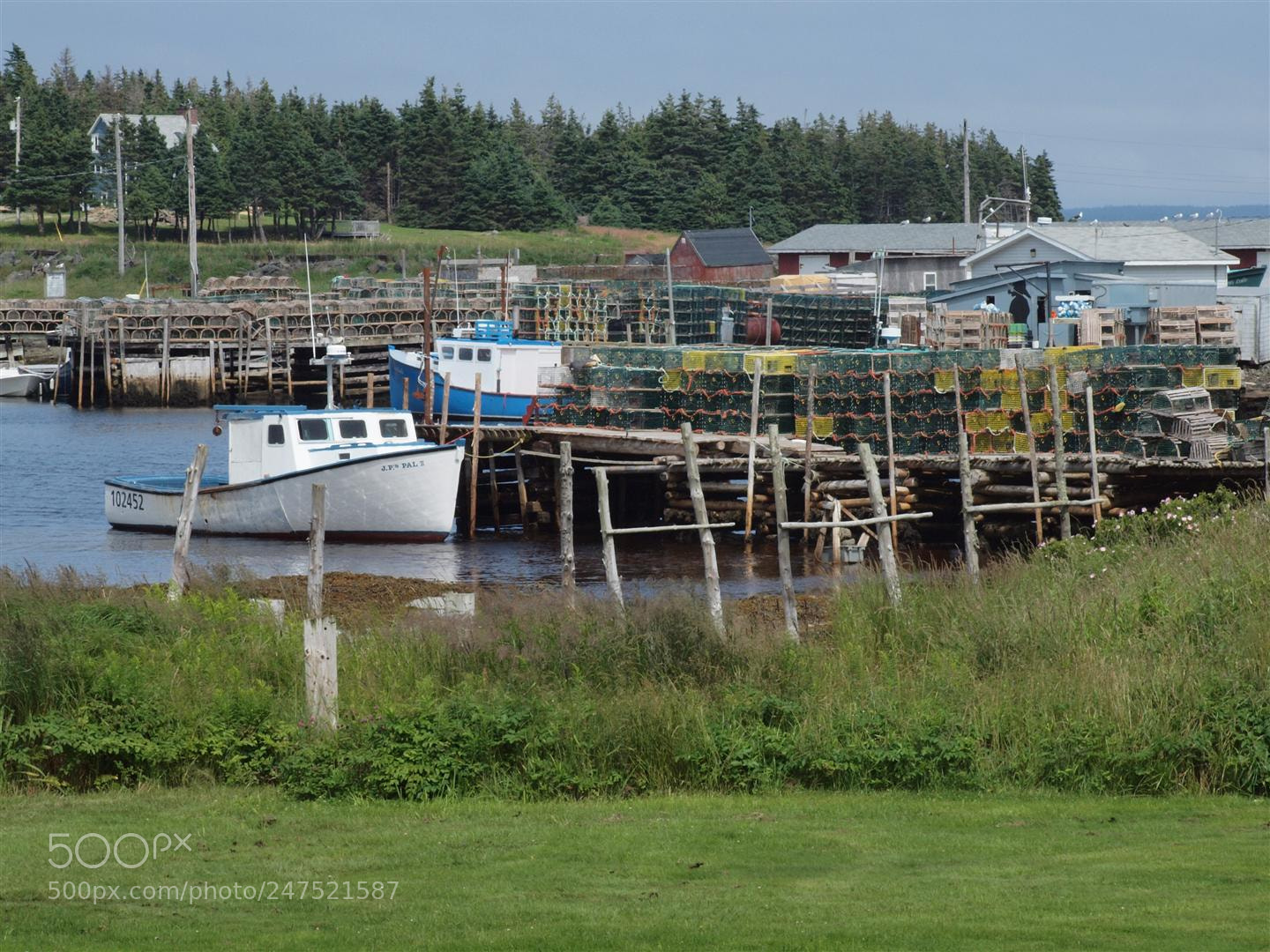 Olympus E-620 (EVOLT E-620) sample photo. This is nova scotia photography