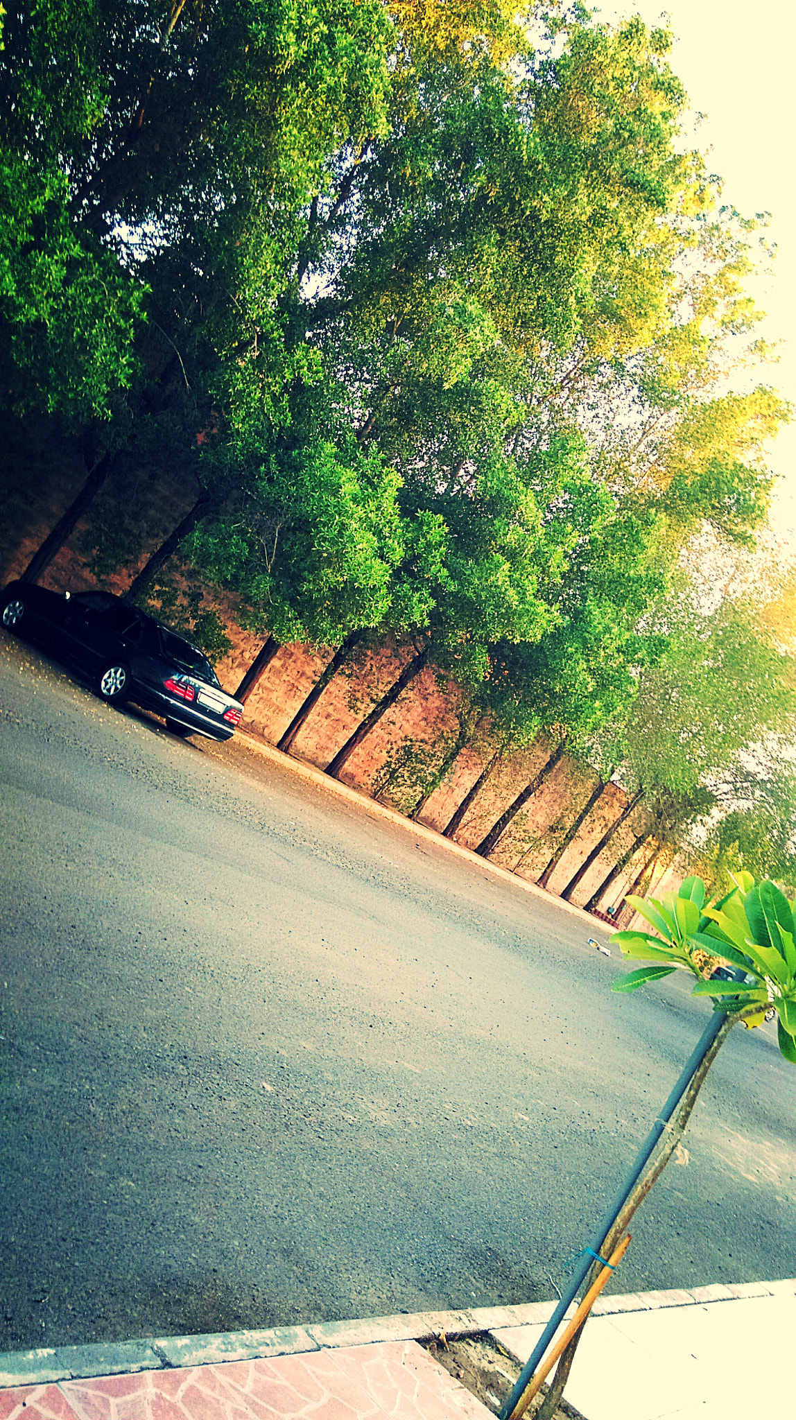 HTC Desire 816 dual sim sample photo. Beautiful noon photography