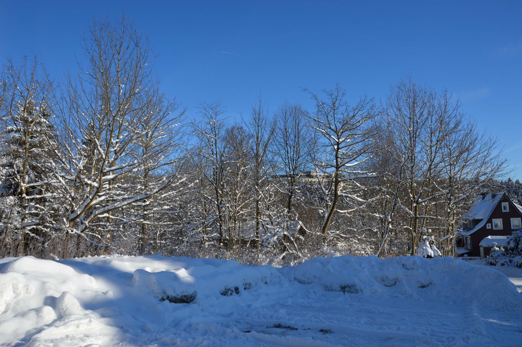 Sigma 18-250mm F3.5-6.3 DC Macro OS HSM sample photo. Brocken 2016 photography