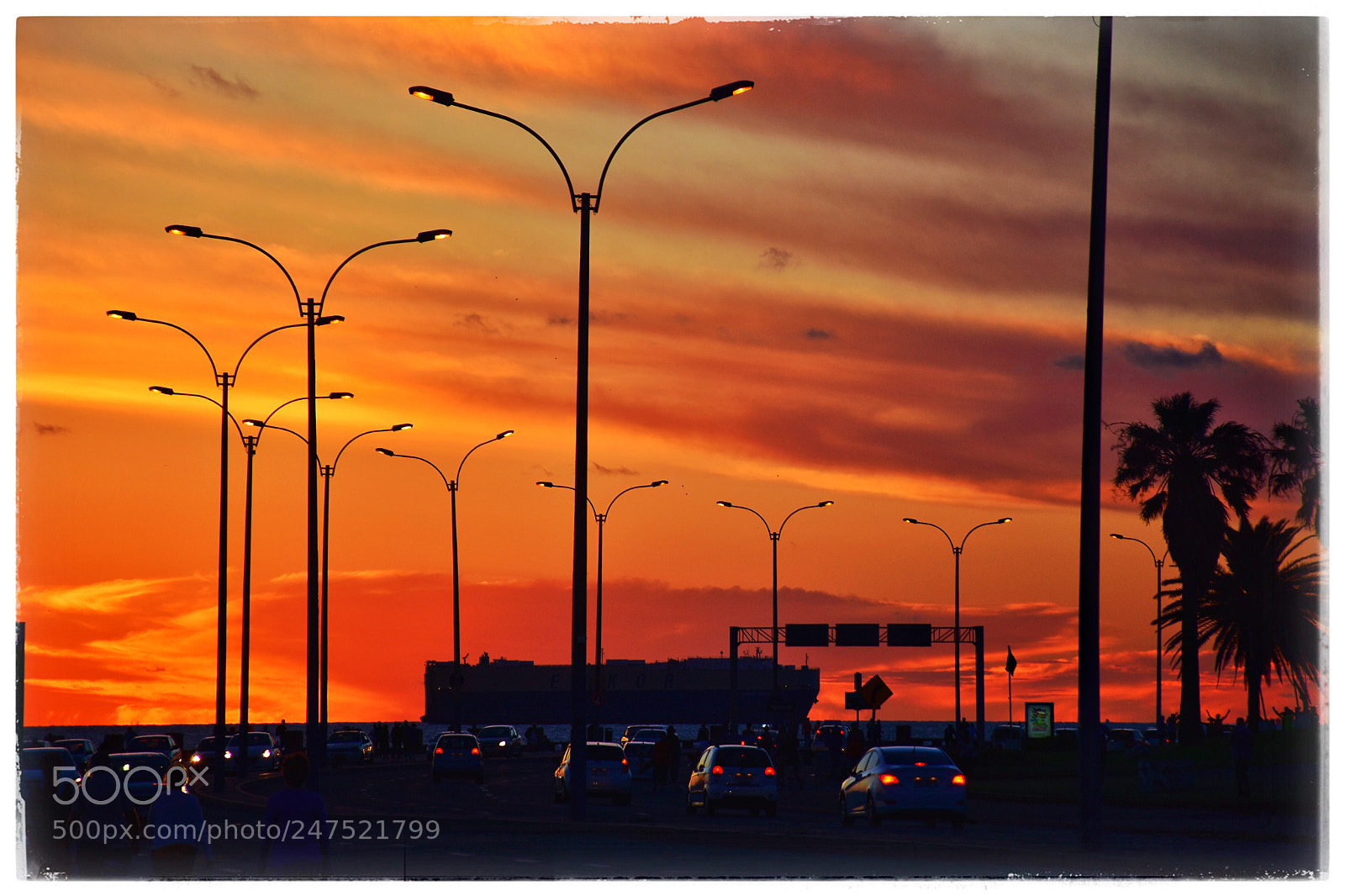 Nikon D7200 sample photo. Red sky photography