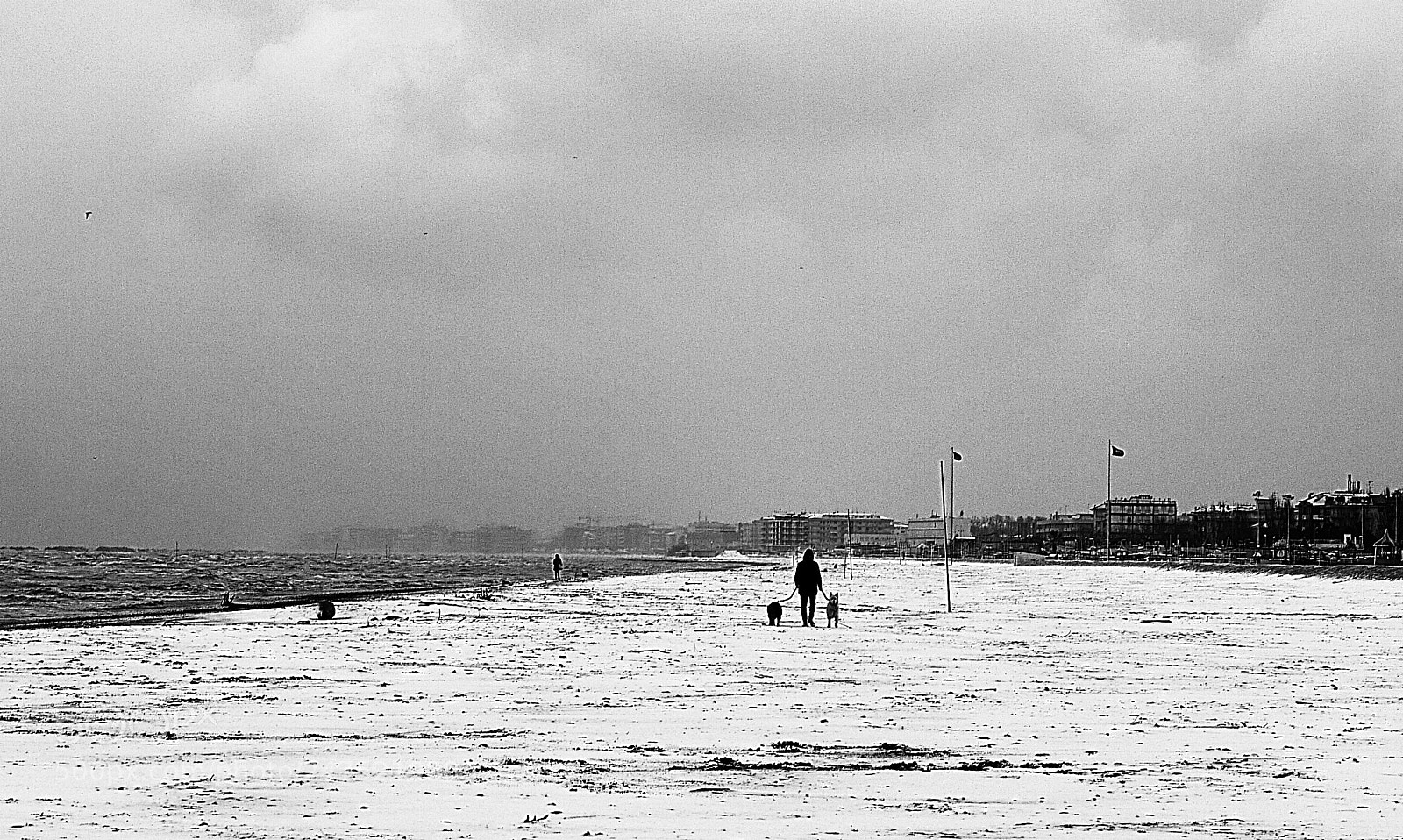 Panasonic Lumix DMC-G1 sample photo. Cold winter photography