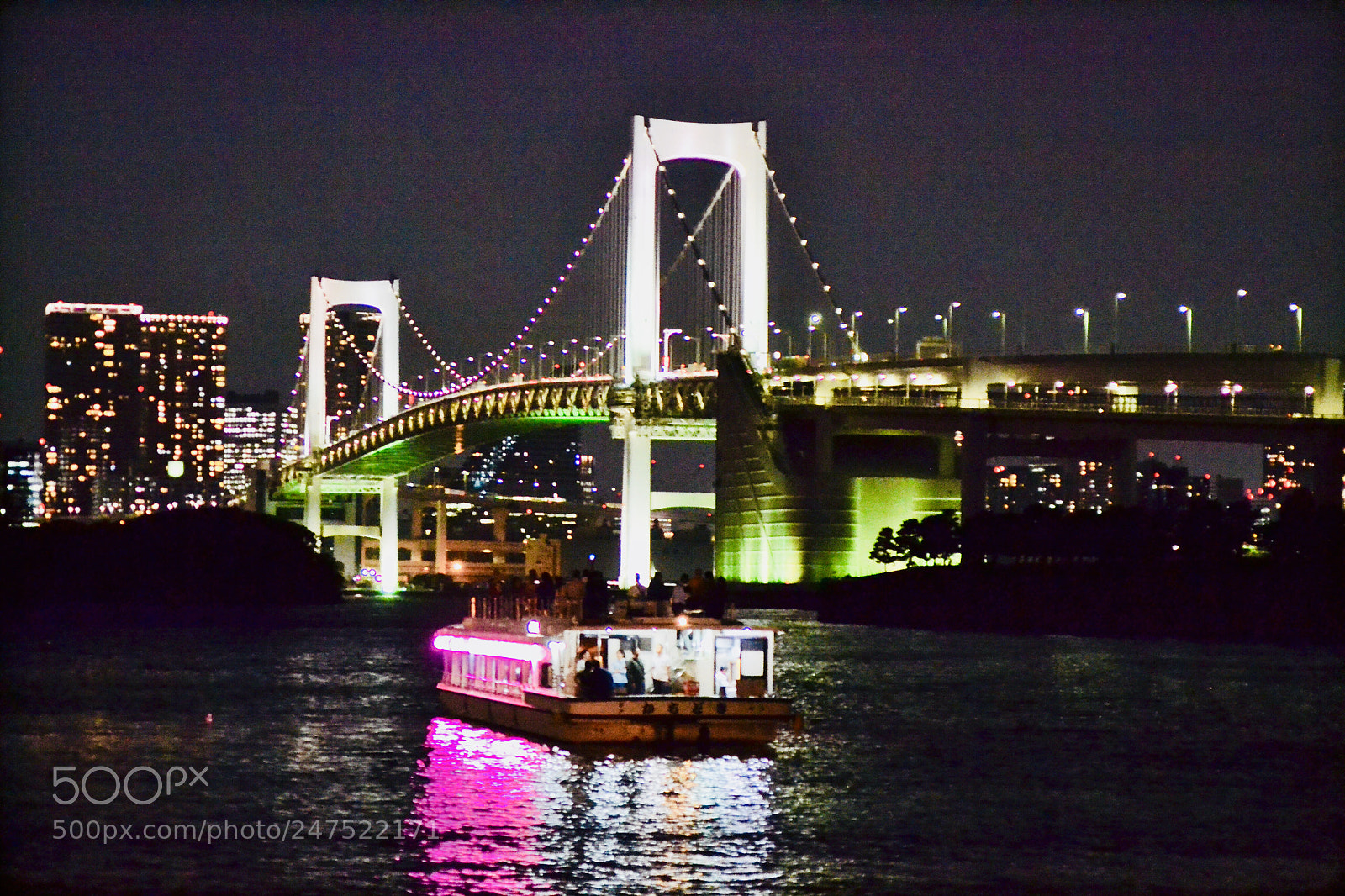 Nikon D3100 sample photo. Odaiba photography