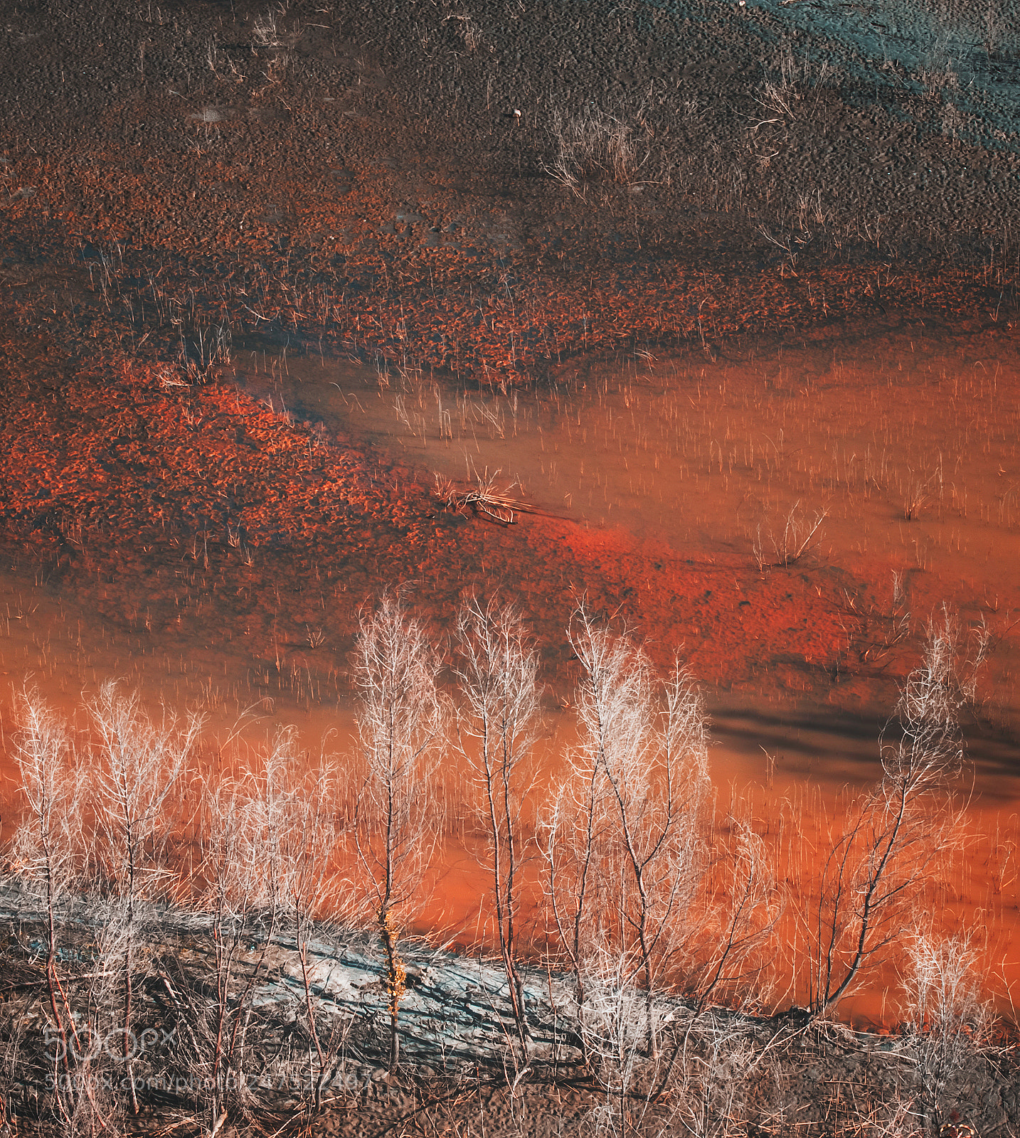 Nikon D3400 sample photo. "orange planet" photography