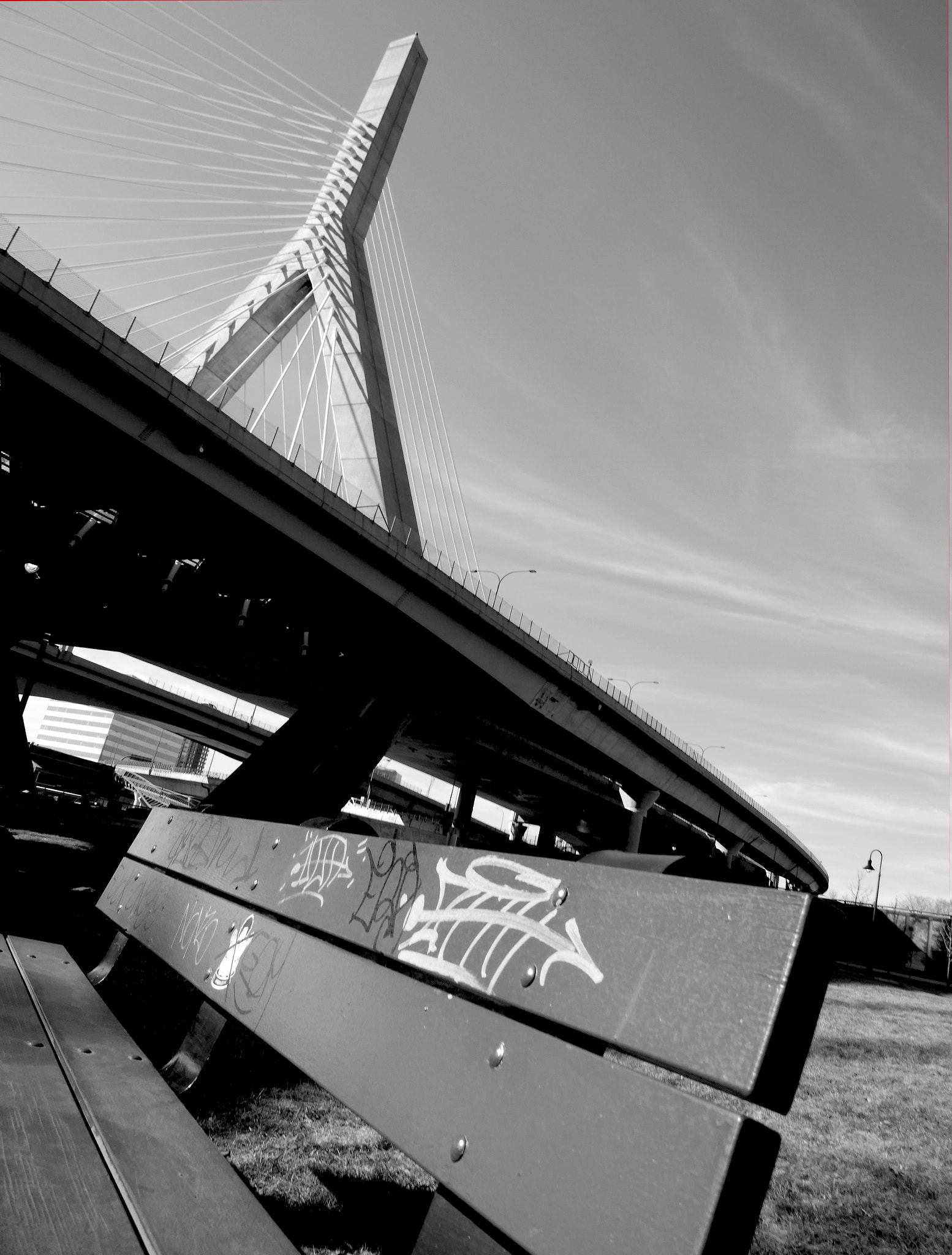 Panasonic Lumix DMC-ZS100 (Lumix DMC-TZ100) sample photo. Zakim bridge as seen from a park bench photography