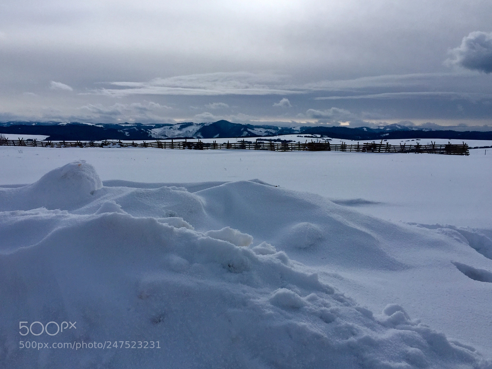 Apple iPhone 6 Plus sample photo. Winter white photography