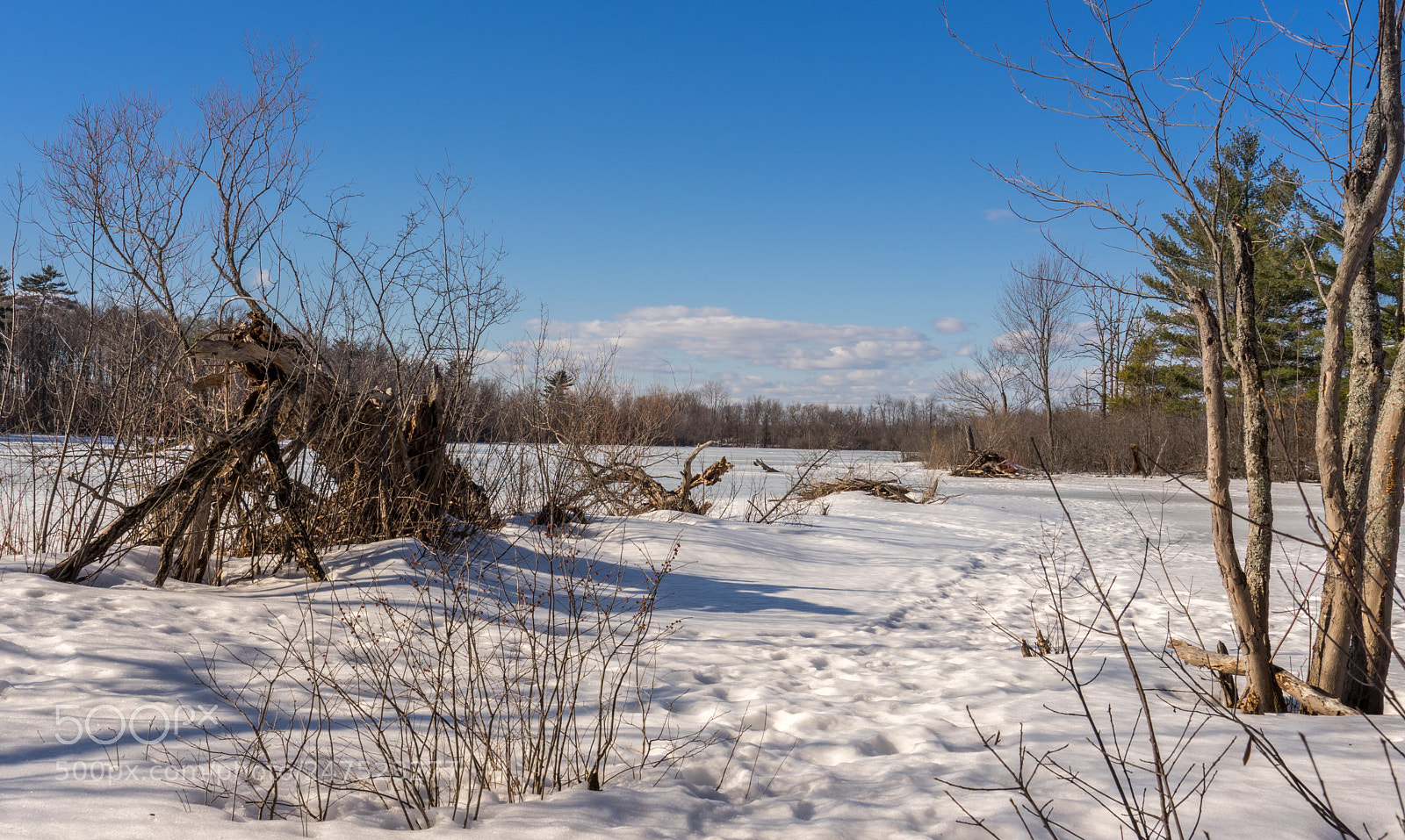 Sony a7 II sample photo. Onto the lake photography