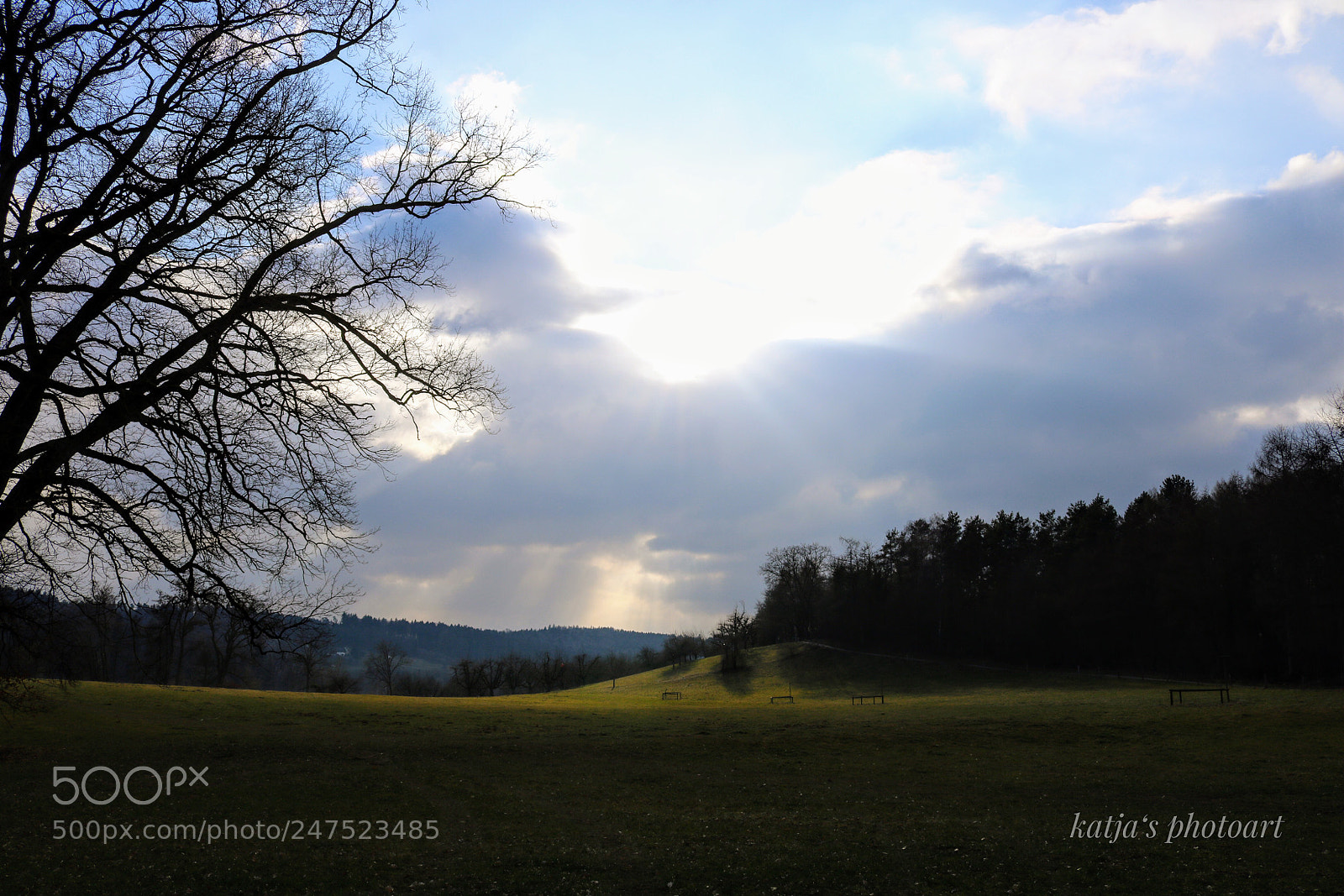 Canon EOS 750D (EOS Rebel T6i / EOS Kiss X8i) sample photo. Stimmung am katzensee photography