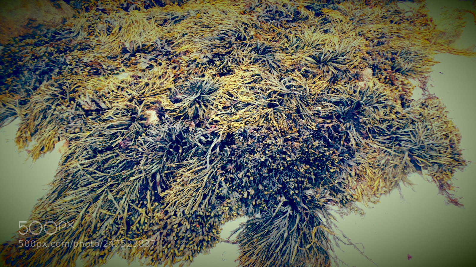 Samsung Galaxy Camera (Wi-Fi) sample photo. Untitled photography