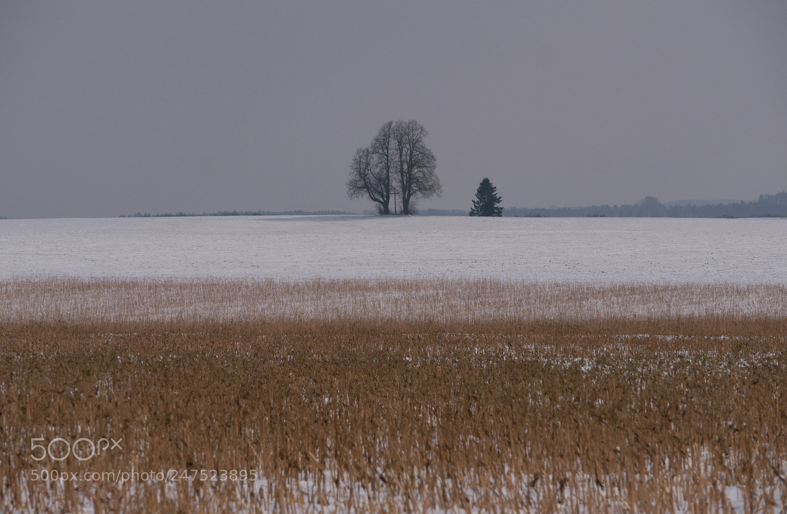 Panasonic DMC-G70 sample photo. Field in wintertime photography