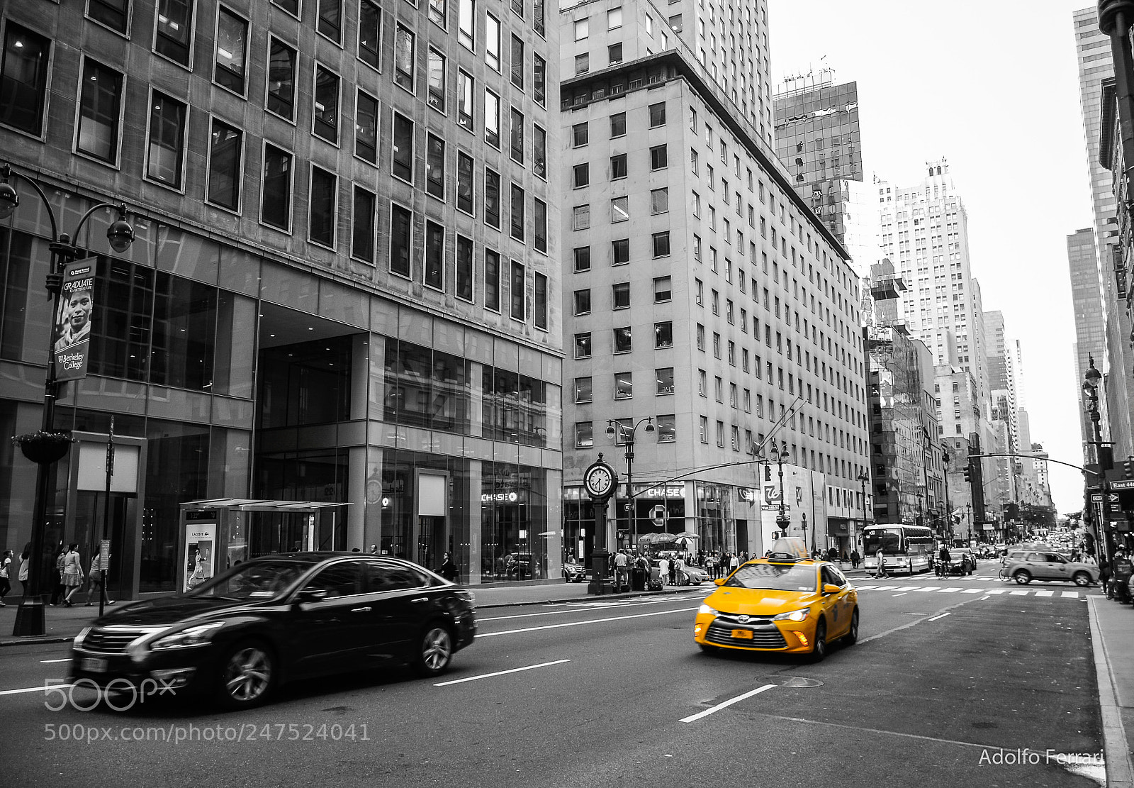 Nikon D5200 sample photo. Yellow photography