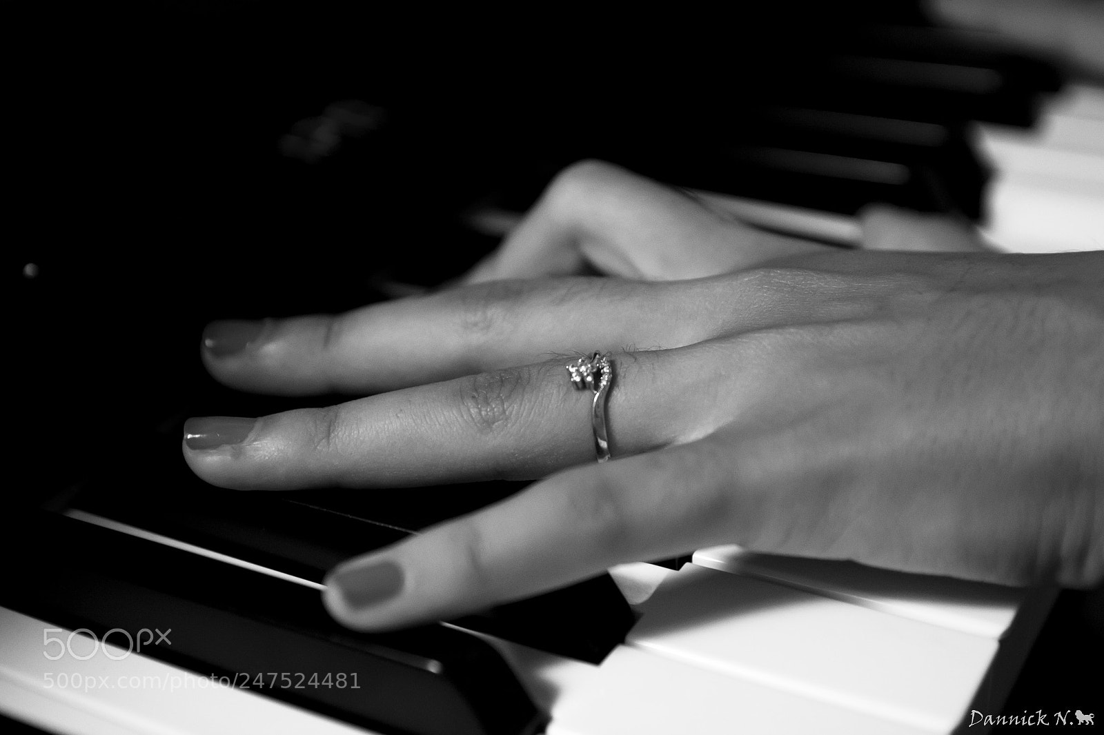 Canon EOS 600D (Rebel EOS T3i / EOS Kiss X5) sample photo. Pianist photography
