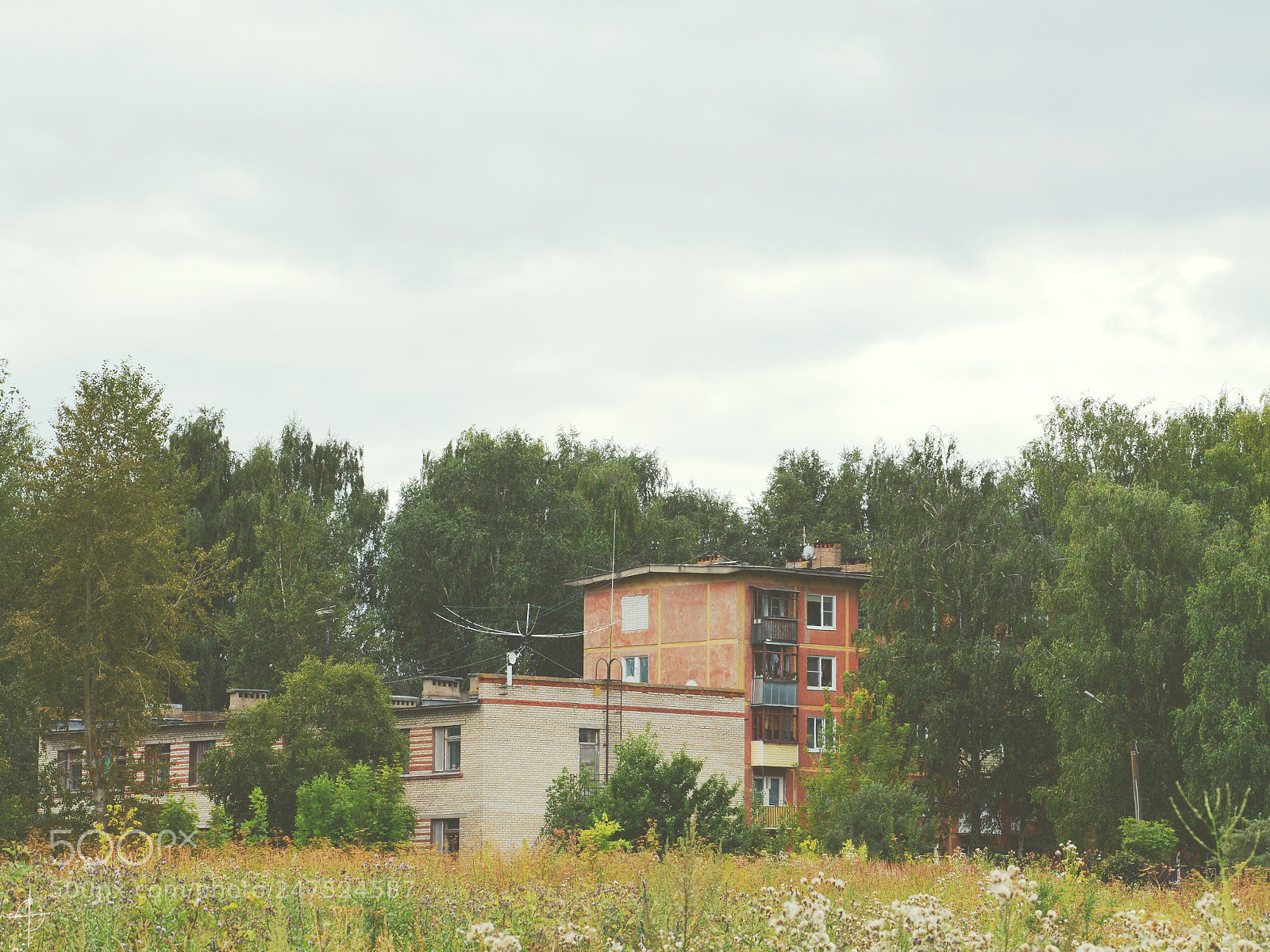 Nikon D3200 sample photo. My summer dreams photography