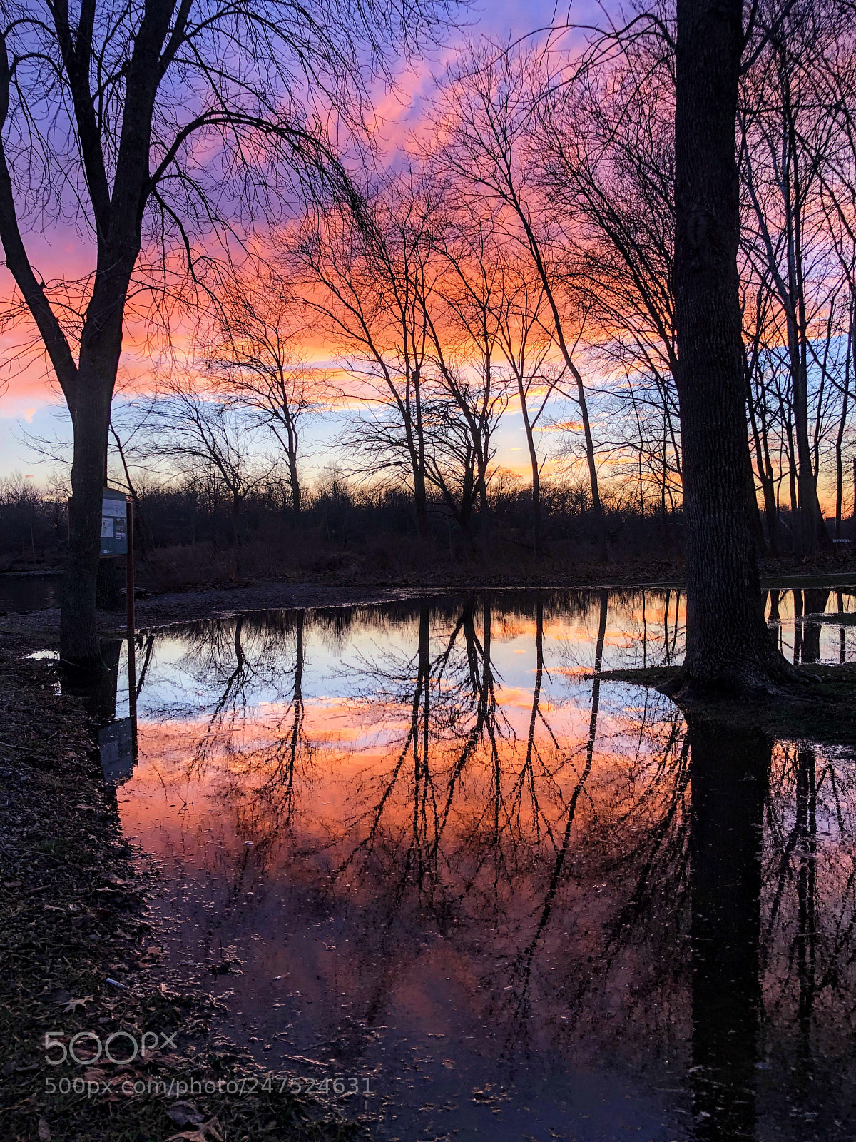 Apple iPhone 8 Plus sample photo. Duality photography