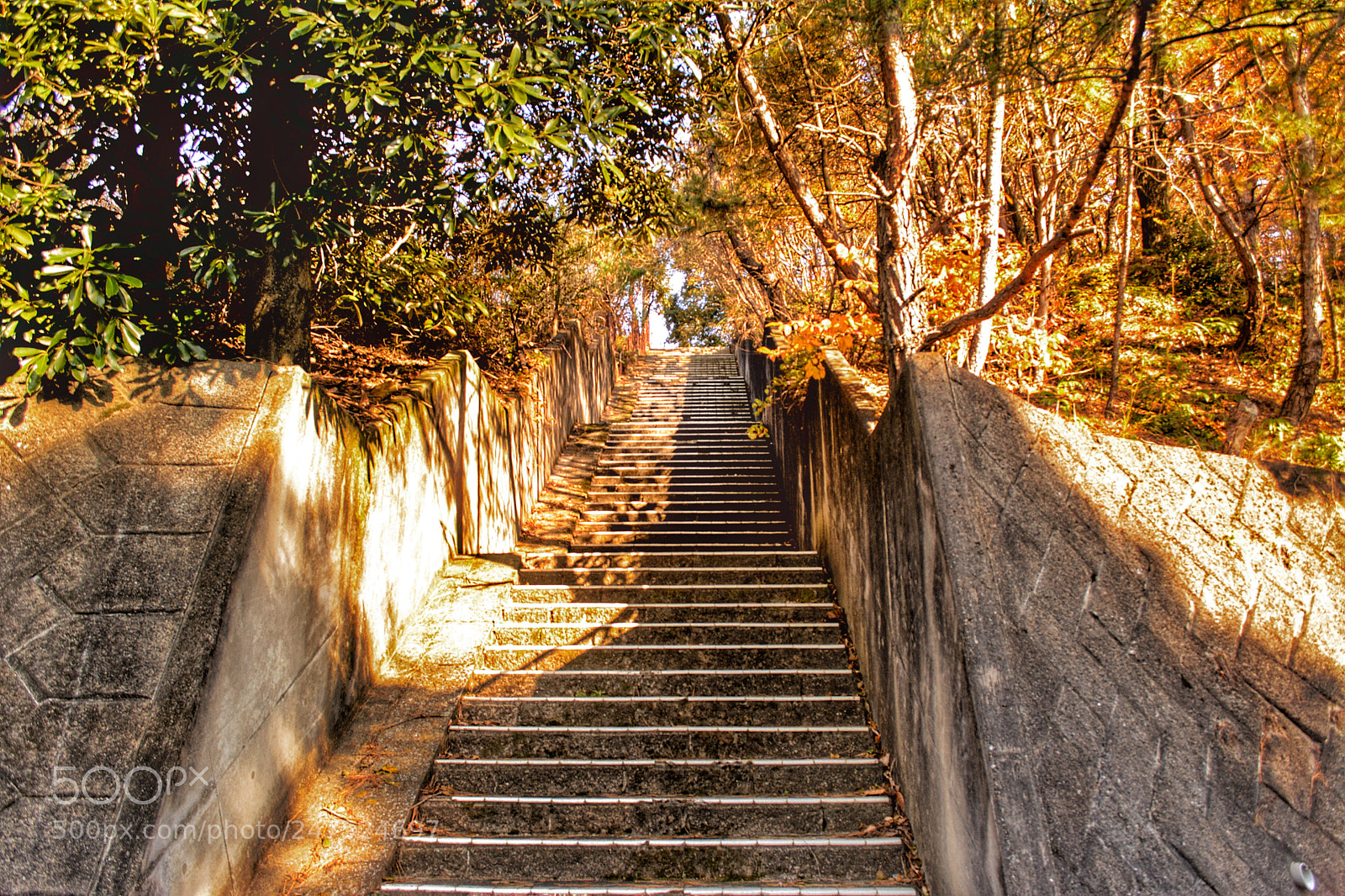 Nikon D5200 sample photo. Stairs photography